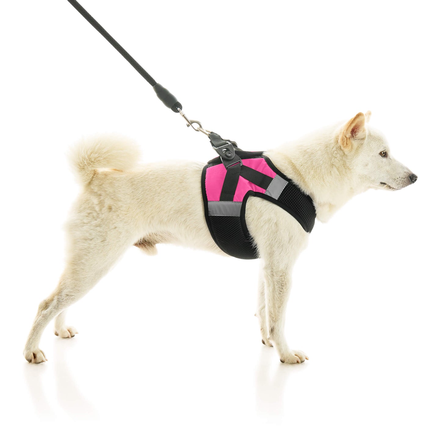 Soft Mesh X Step In Harness