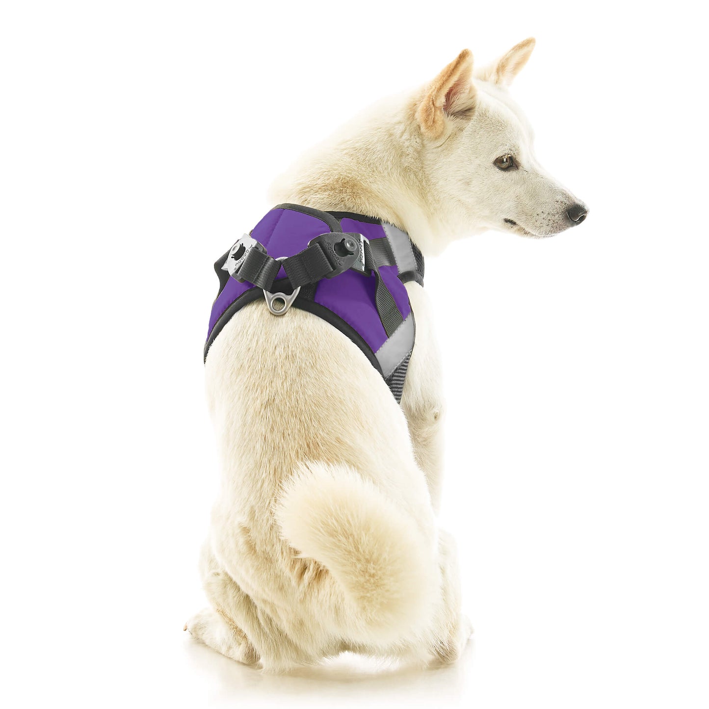 Soft Mesh X Step In Harness