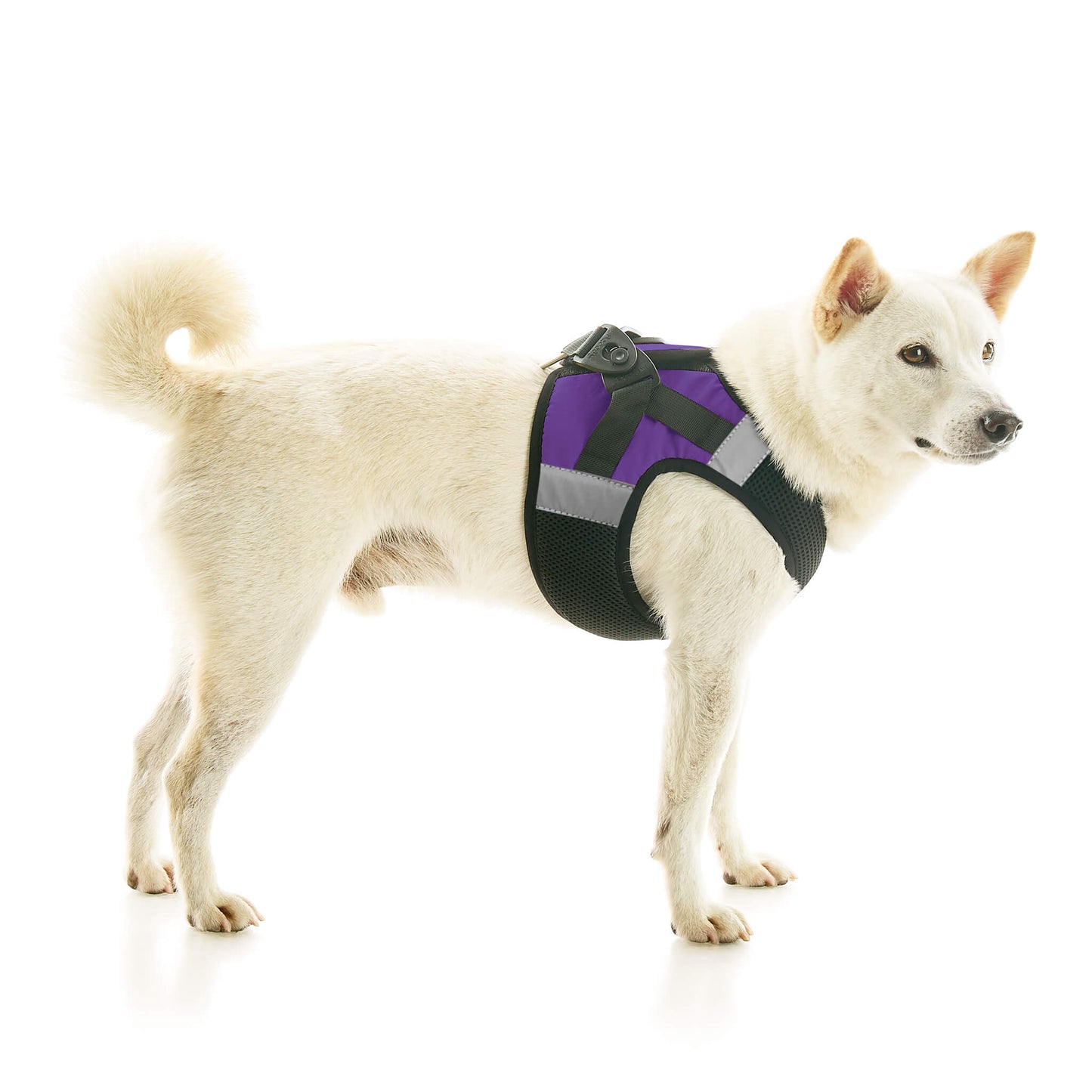 Soft Mesh X Step In Harness