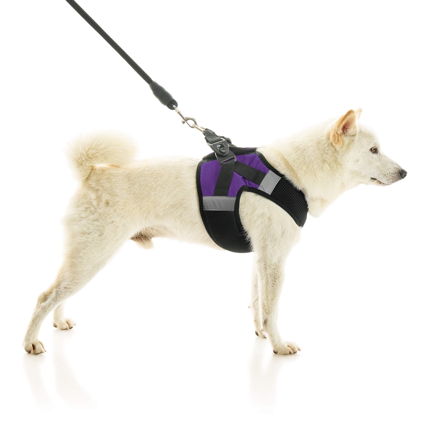 Soft Mesh X Step In Harness