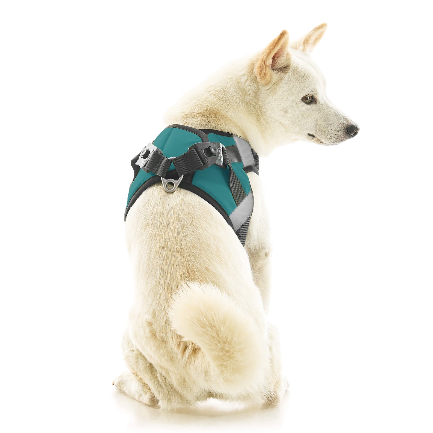 Soft Mesh X Step In Harness