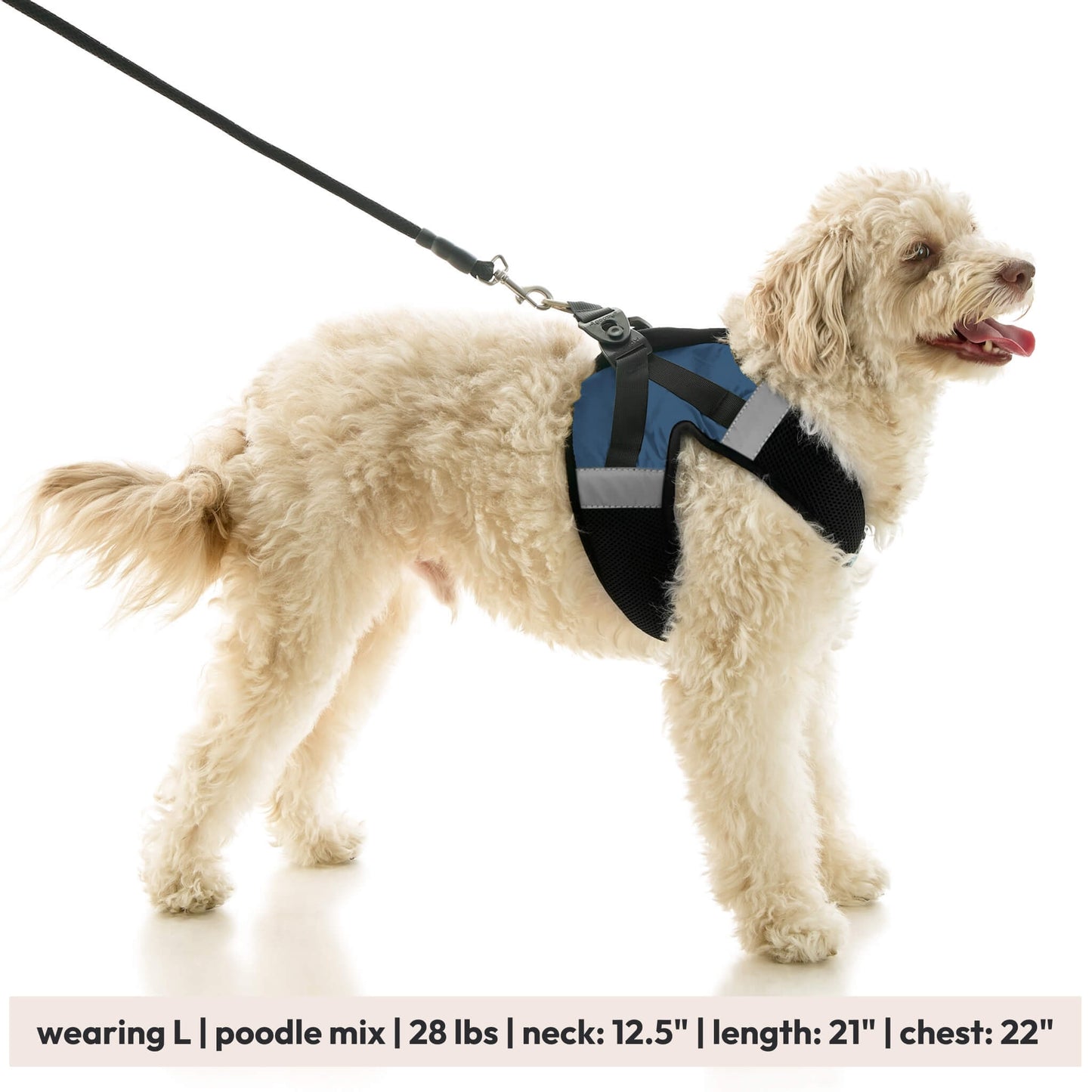 Soft Mesh X Step In Harness