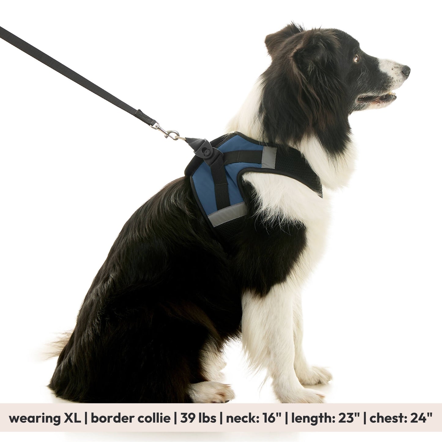 Soft Mesh X Step In Harness