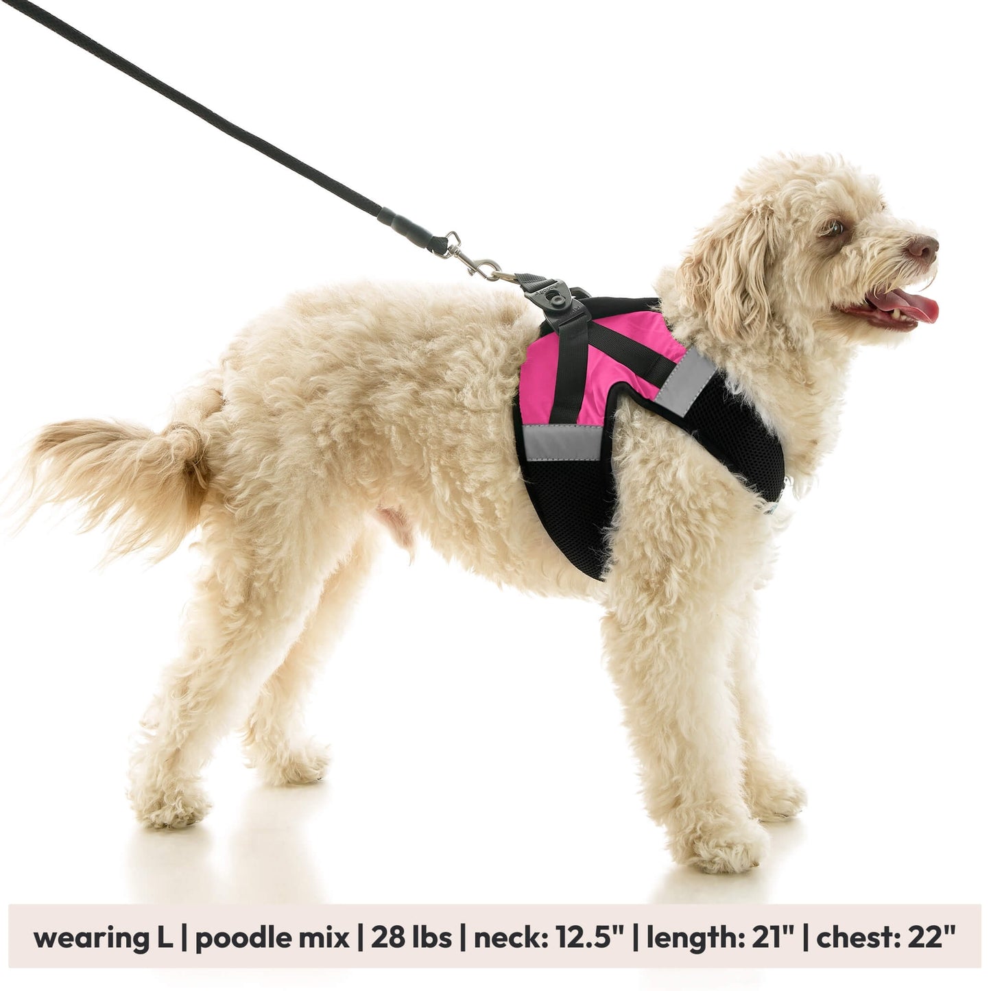 Soft Mesh X Step In Harness