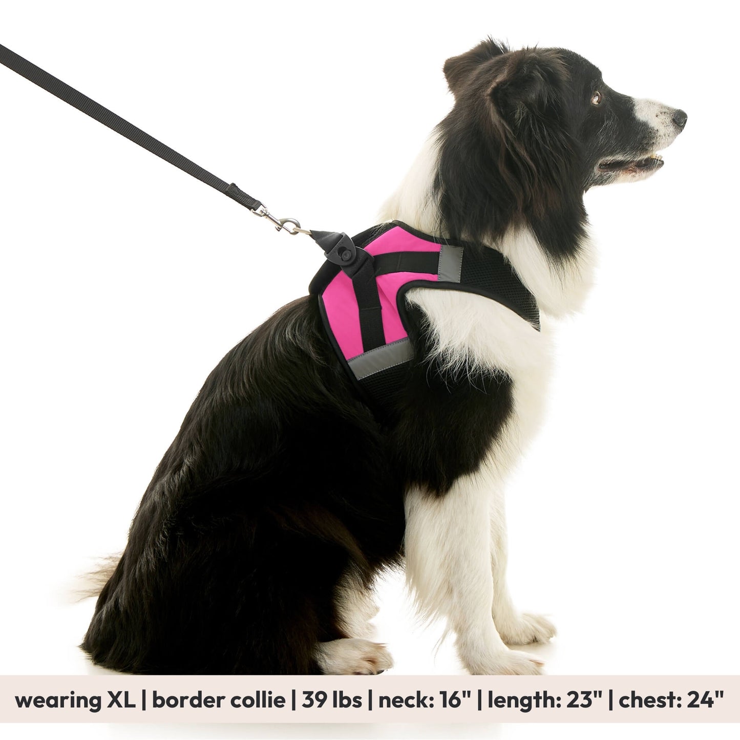 Soft Mesh X Step In Harness