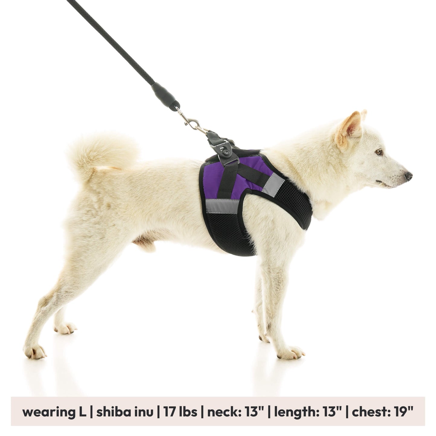 Soft Mesh X Step In Harness