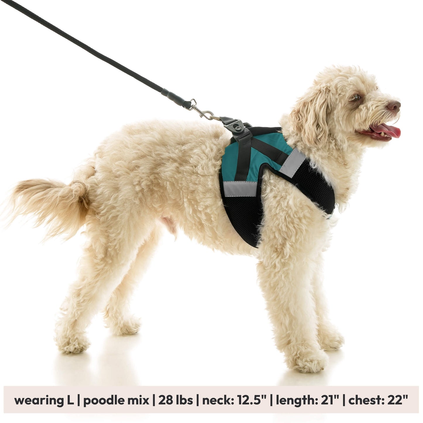 Soft Mesh X Step In Harness