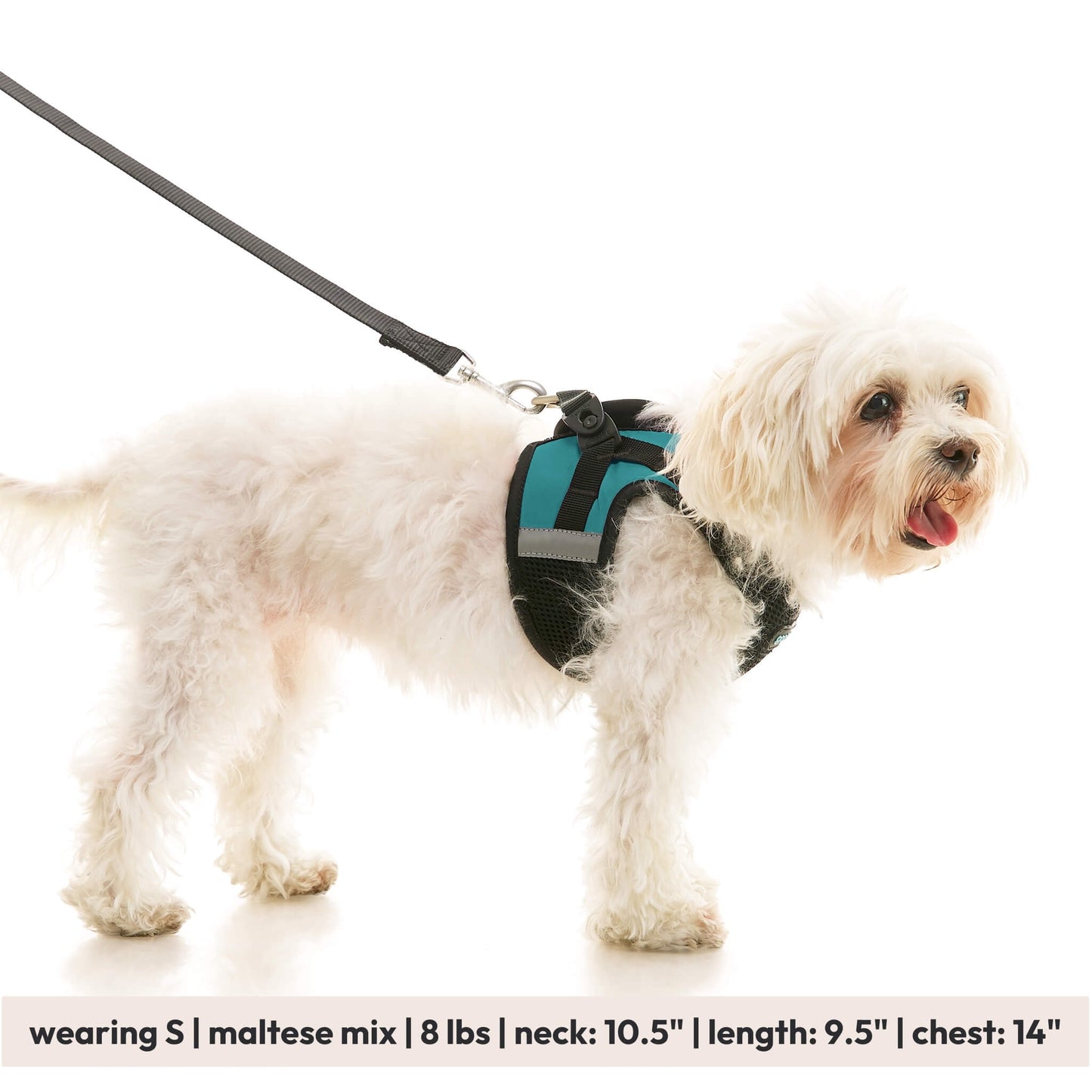 Soft Mesh X Step In Harness