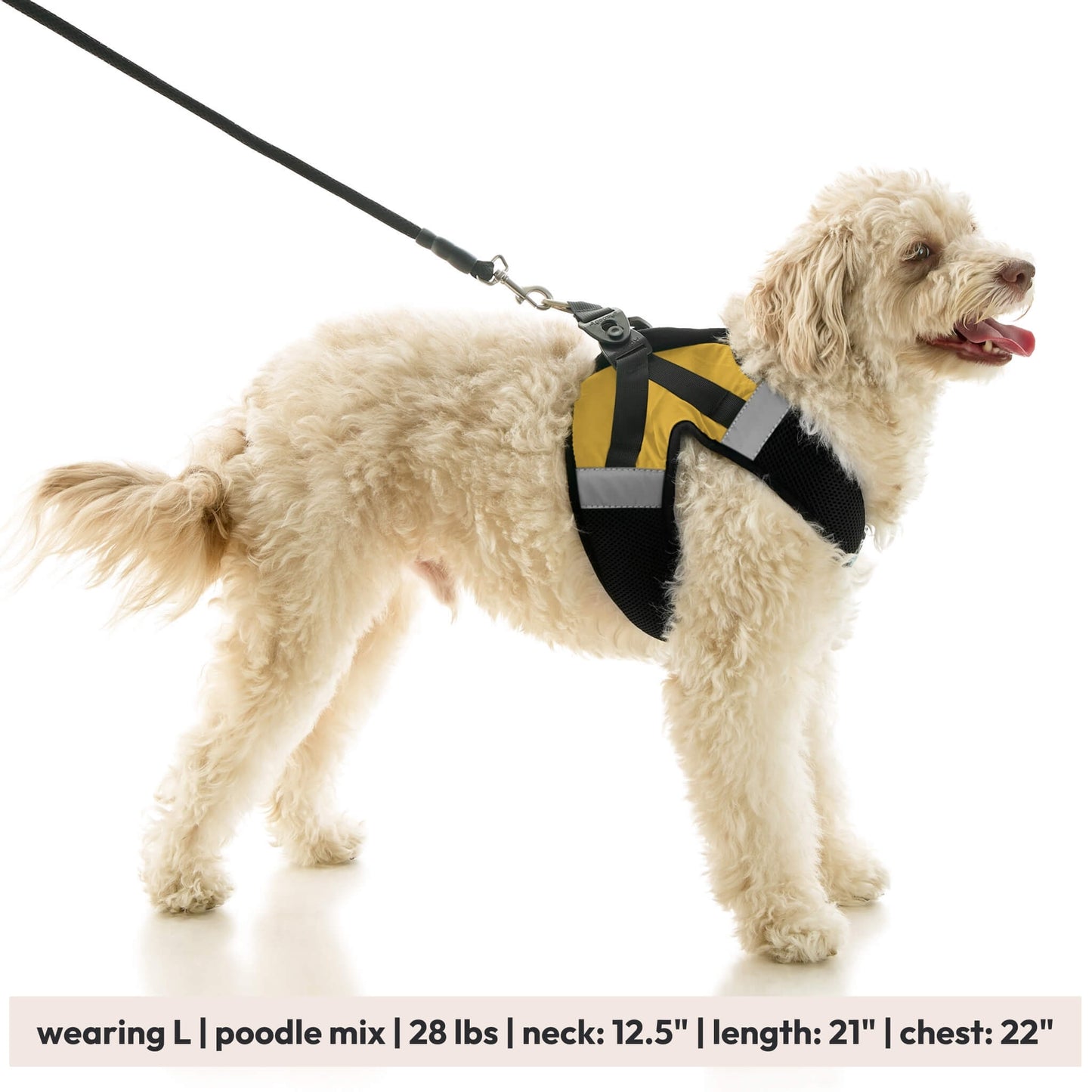 Soft Mesh X Step In Harness