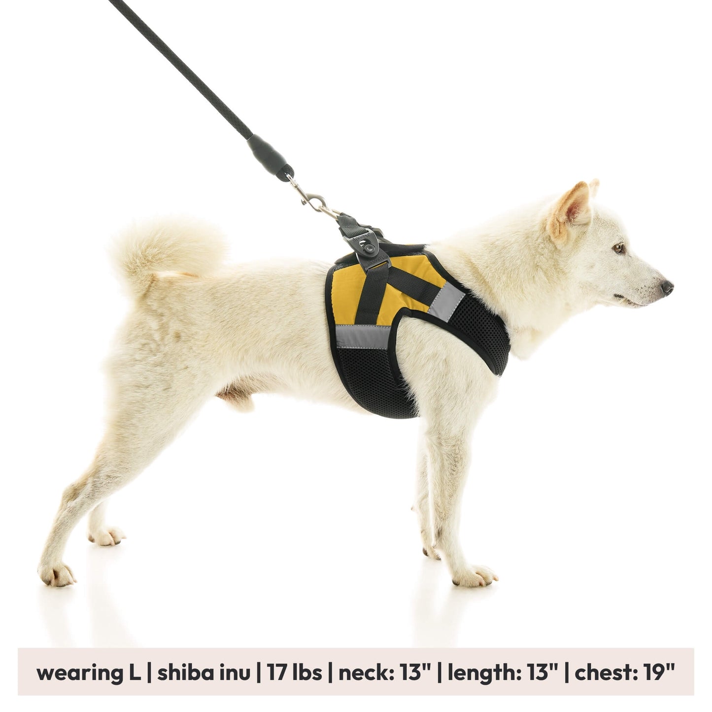 Soft Mesh X Step In Harness