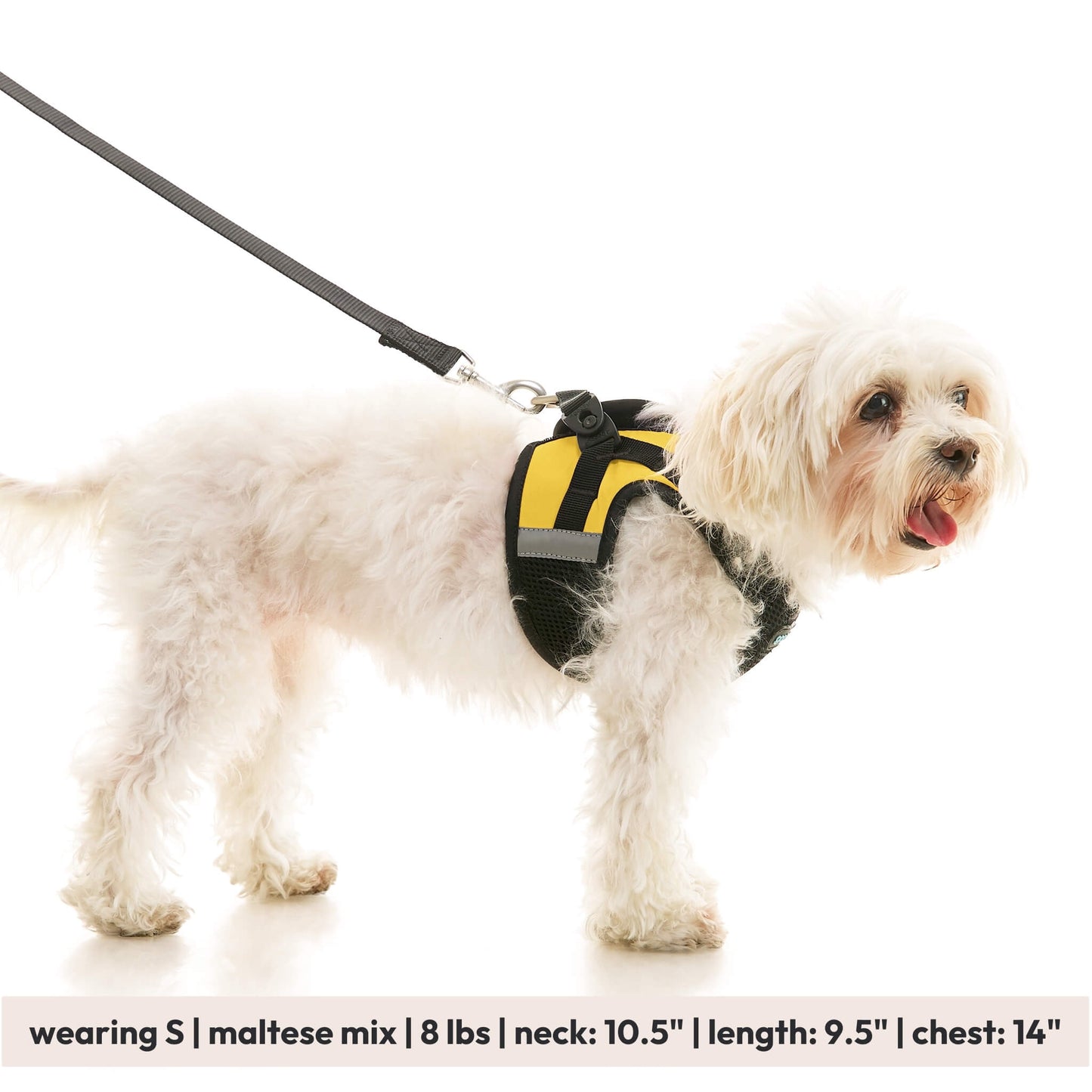 Soft Mesh X Step In Harness