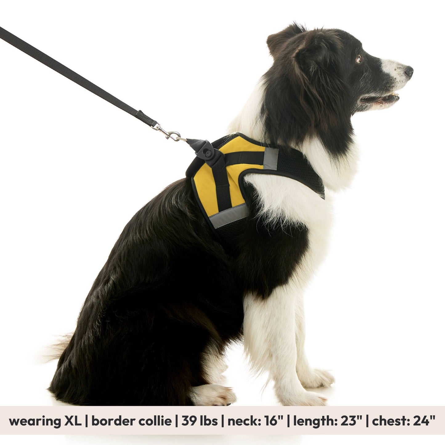 Soft Mesh X Step In Harness