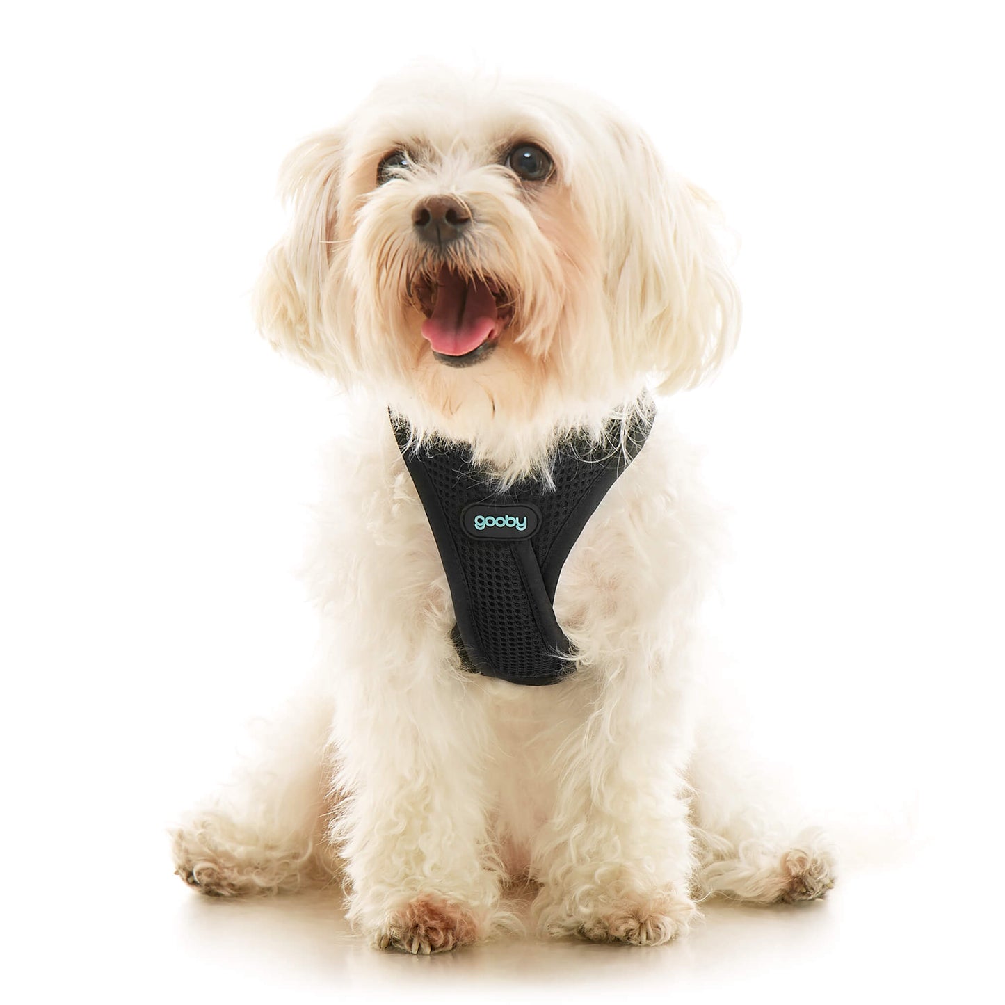 Soft Mesh X Step In Harness