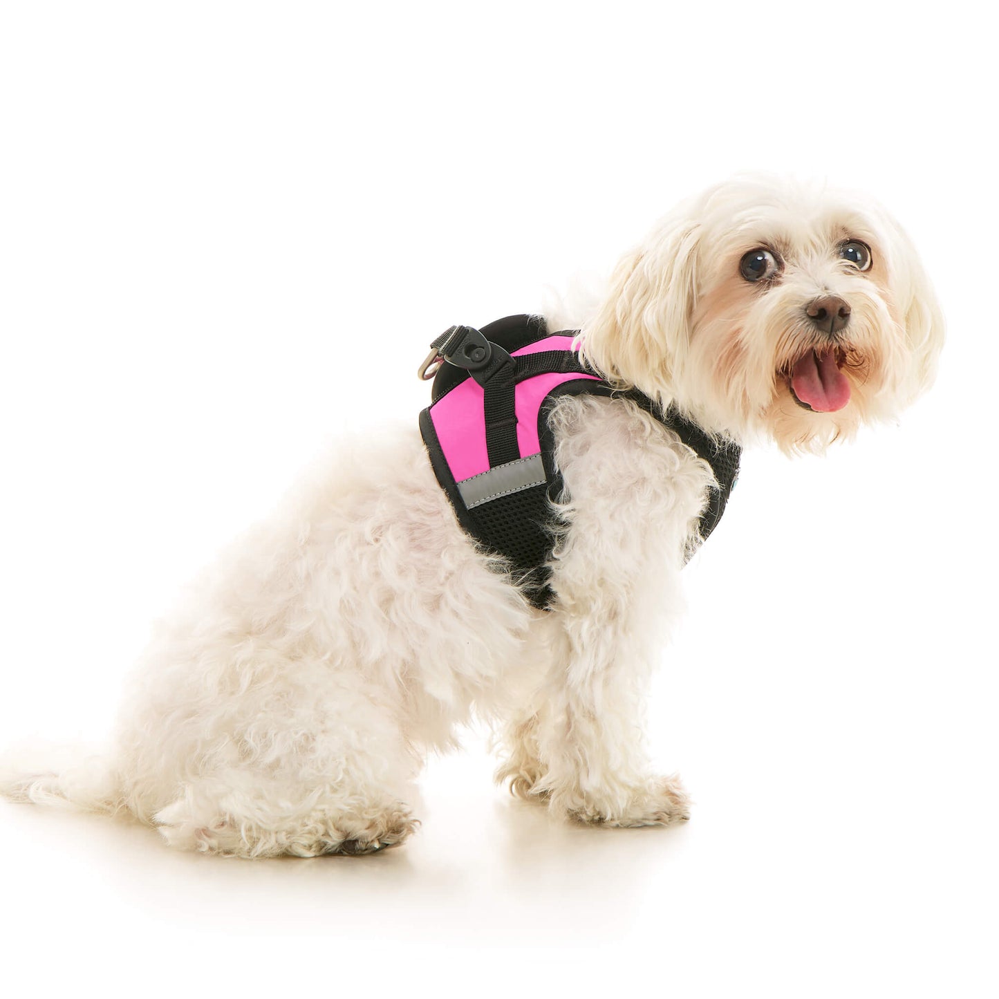 Soft Mesh X Step In Harness