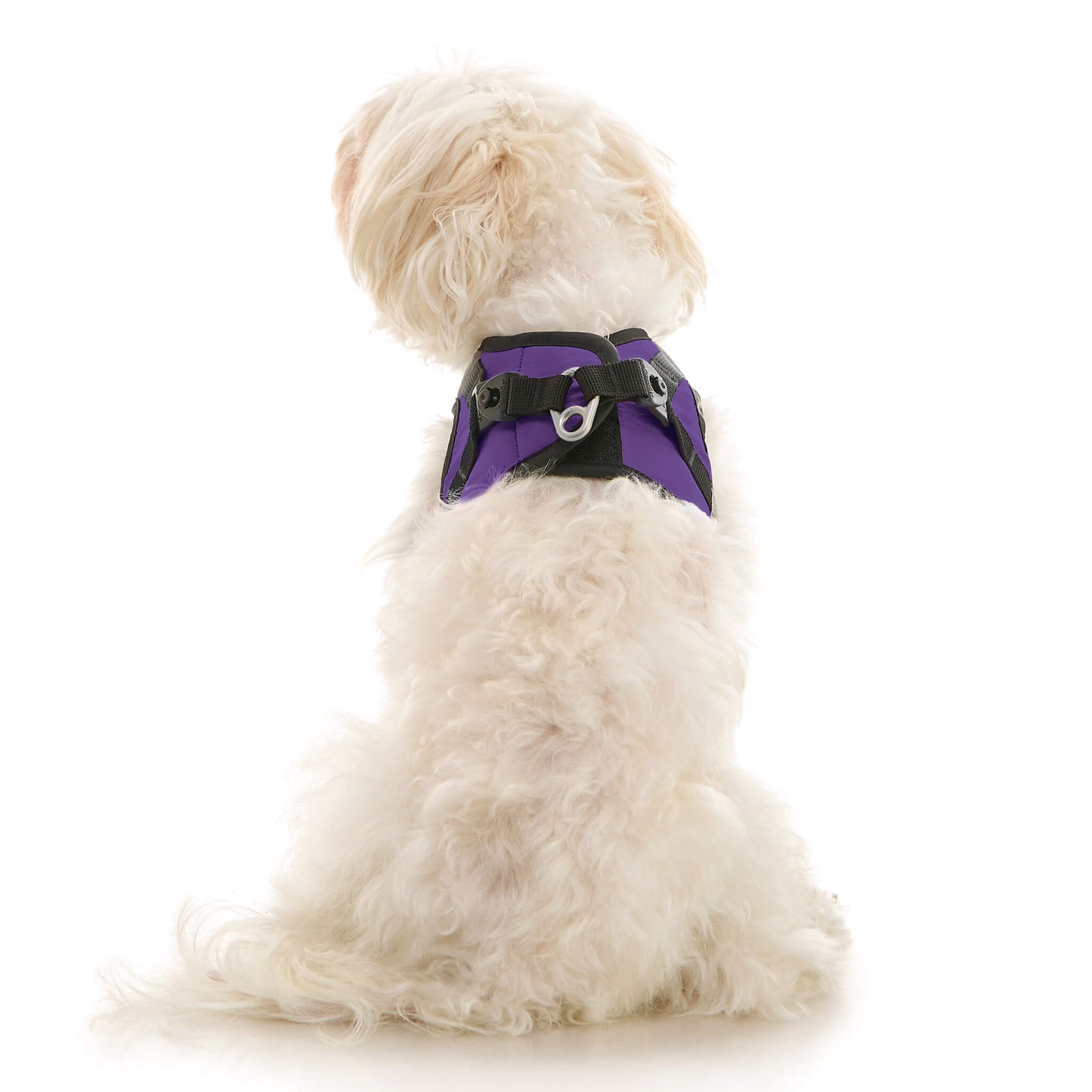 Soft Mesh X Step In Harness