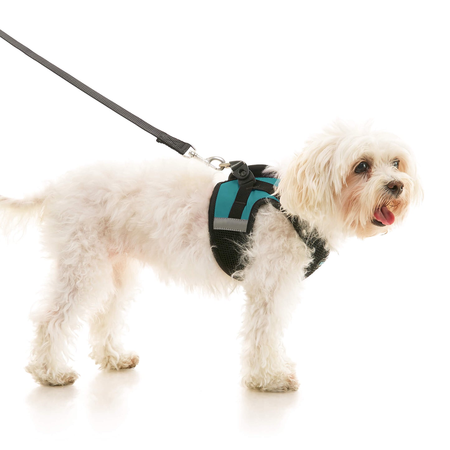 Soft Mesh X Step In Harness