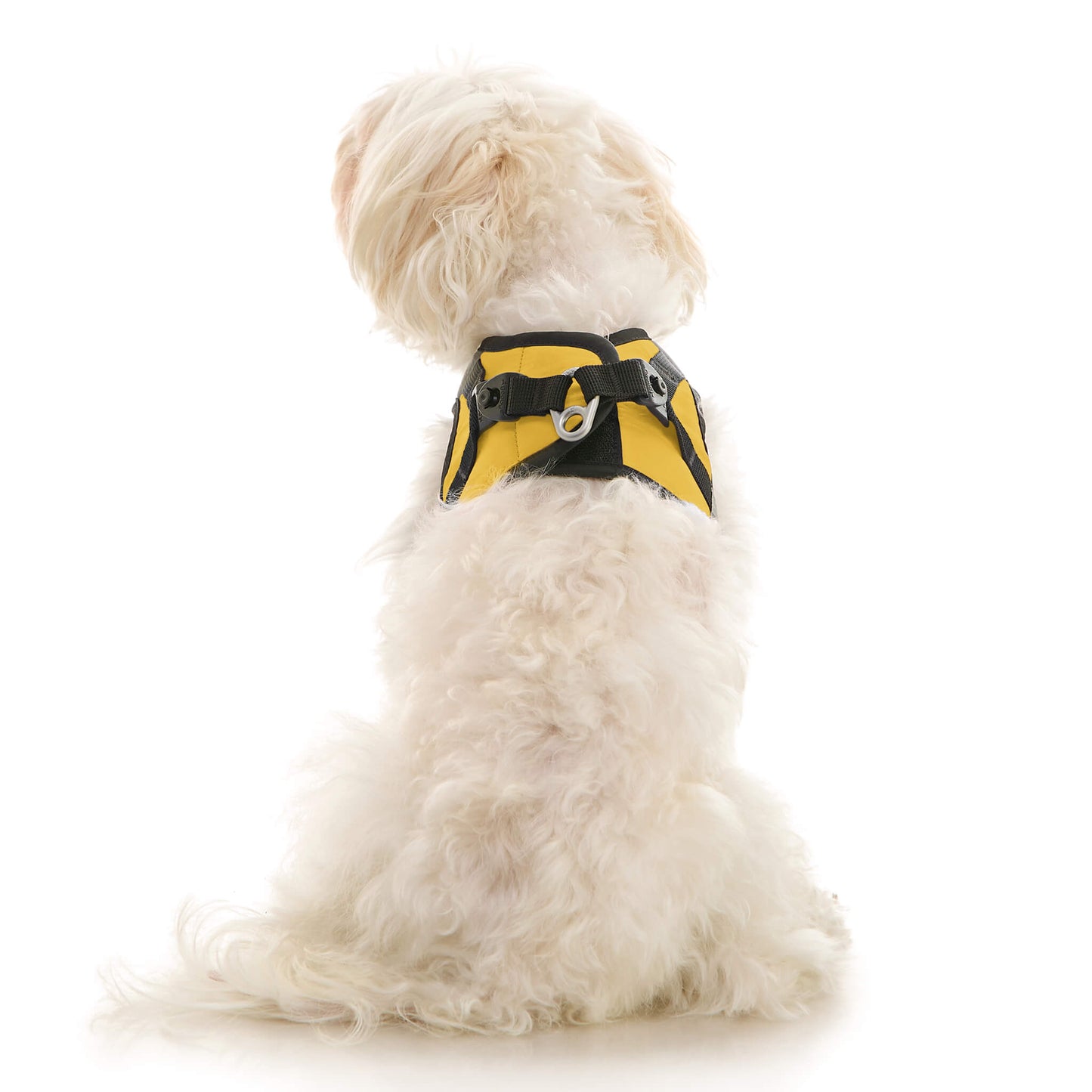 Soft Mesh X Step In Harness