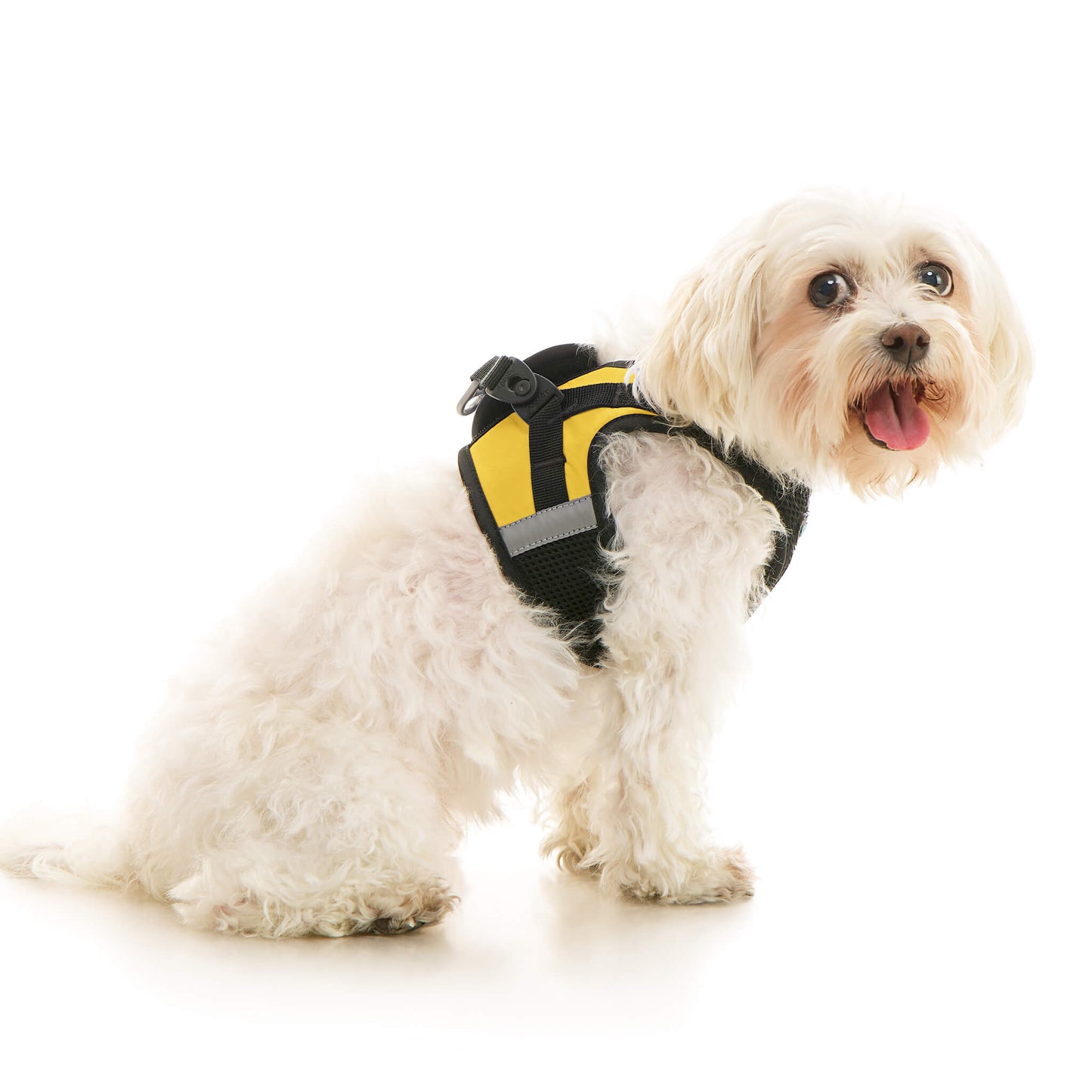 Soft Mesh X Step In Harness