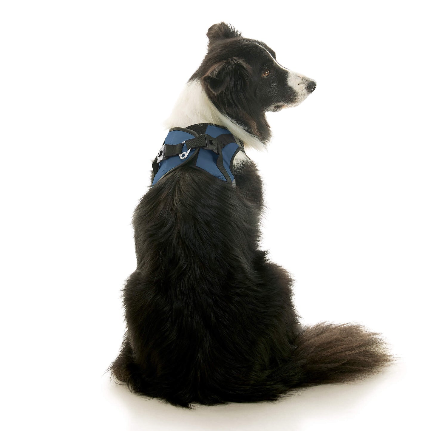 Soft Mesh X Step In Harness