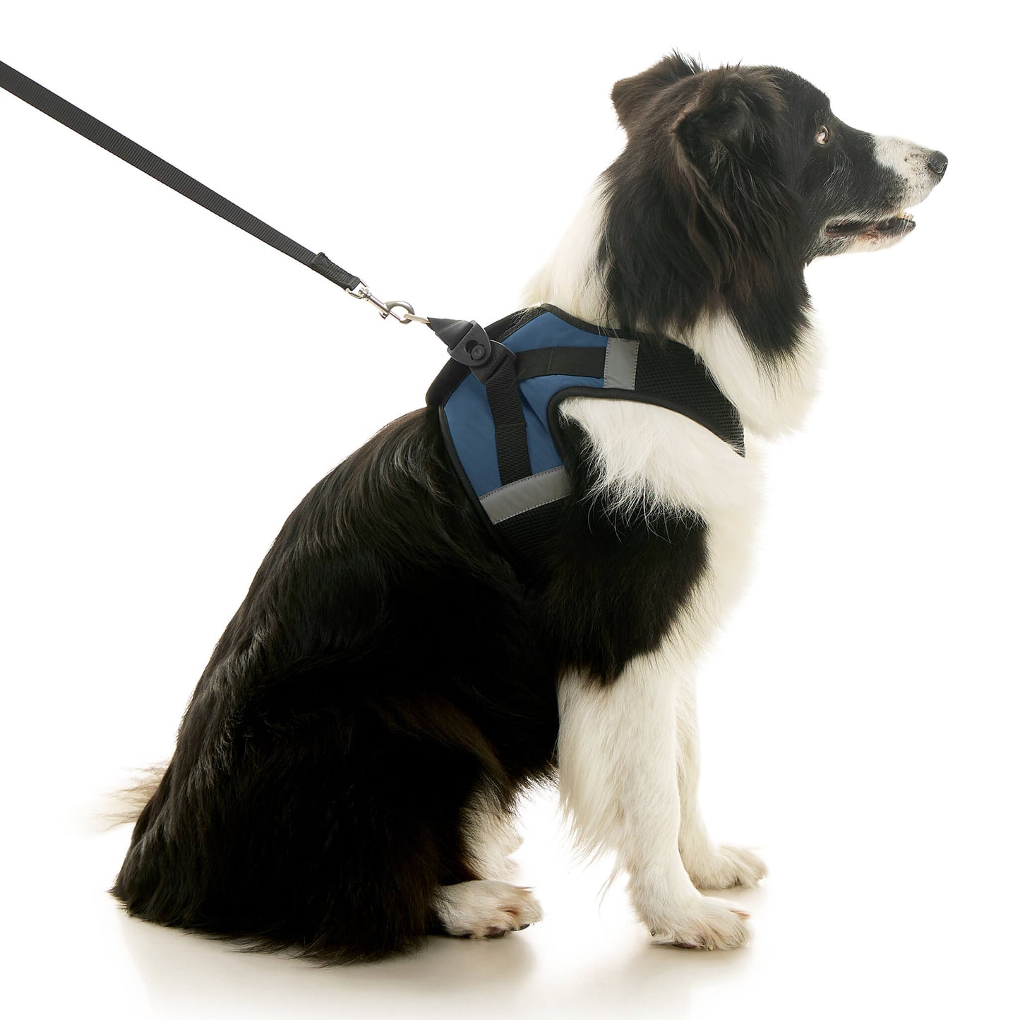 Soft Mesh X Step In Harness