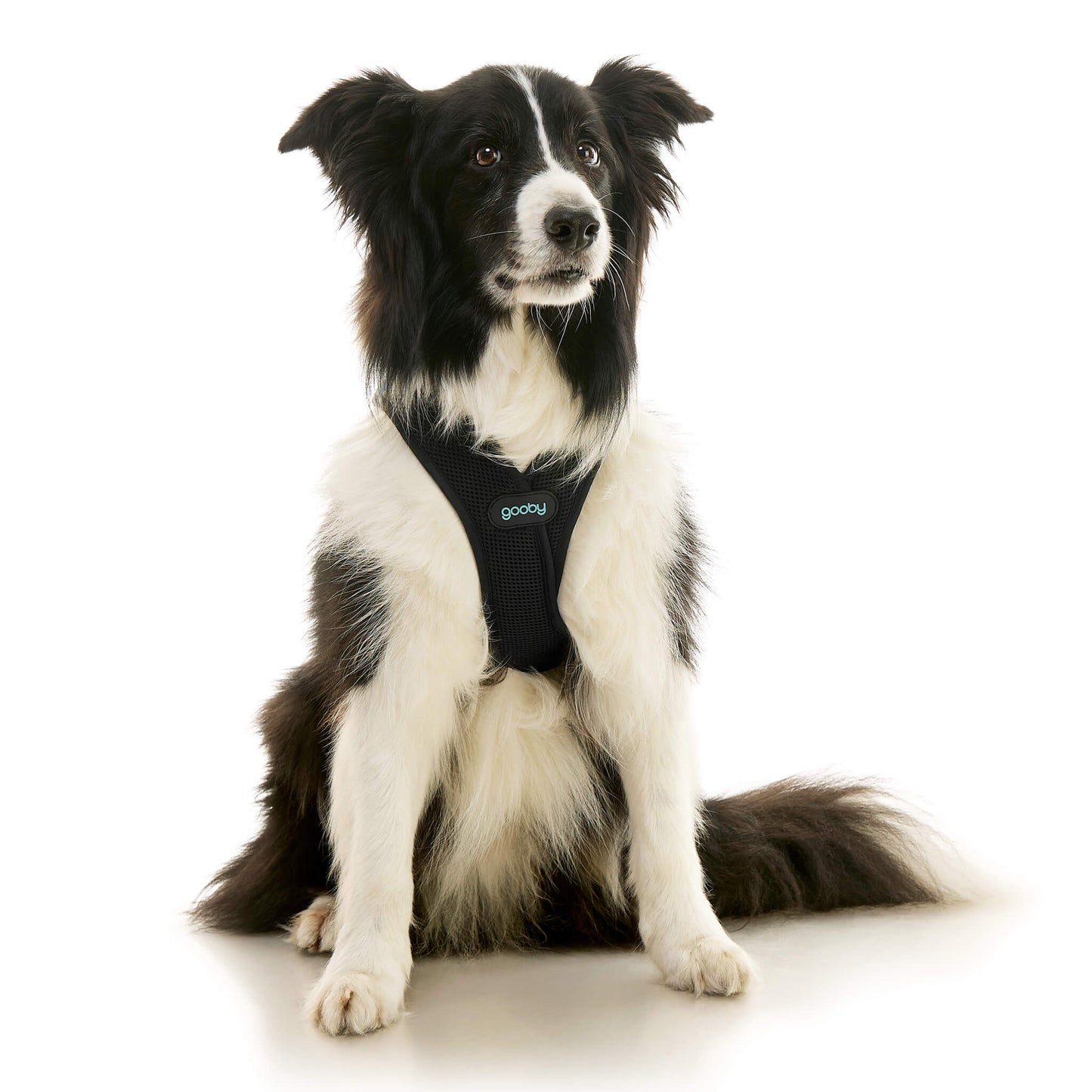 Soft Mesh X Step In Harness