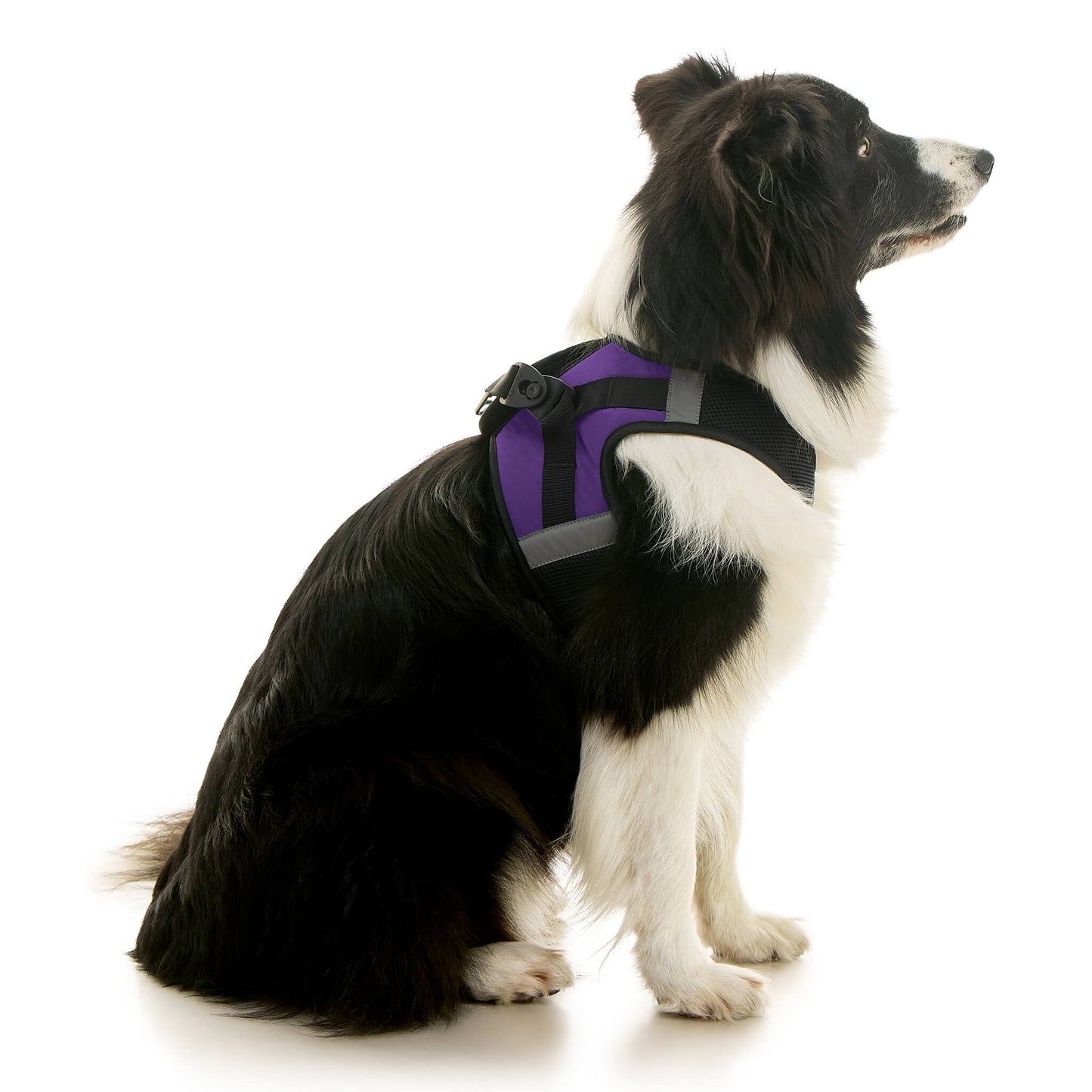 Soft Mesh X Step In Harness