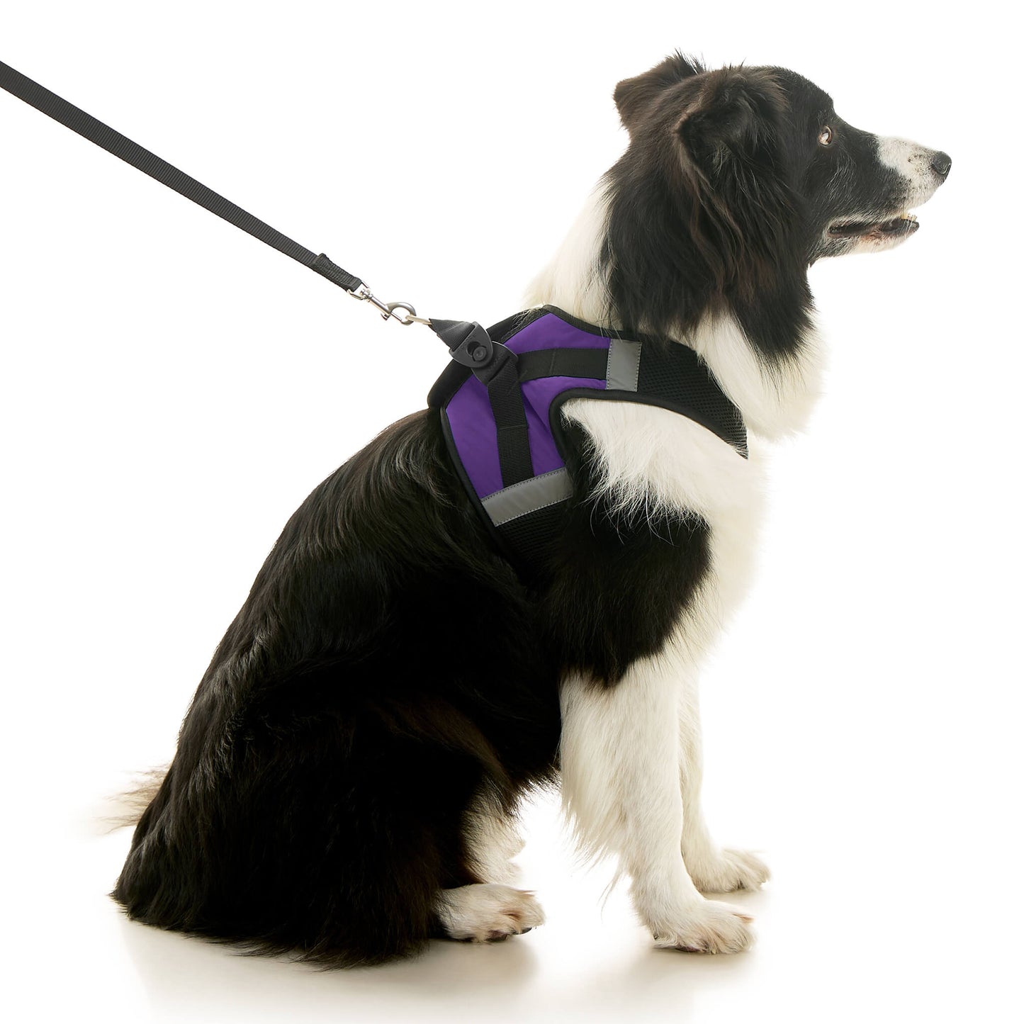 Soft Mesh X Step In Harness