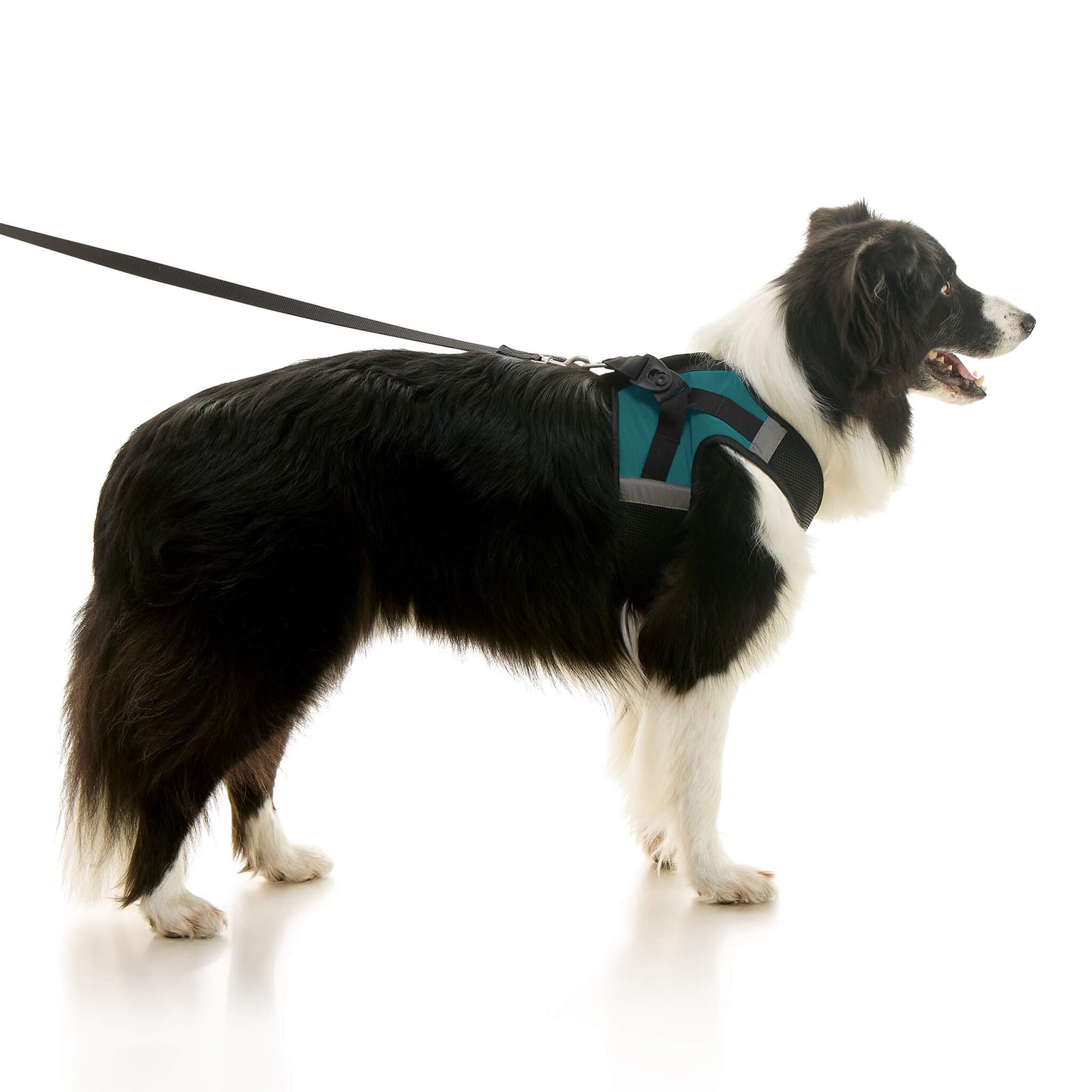 Soft Mesh X Step In Harness