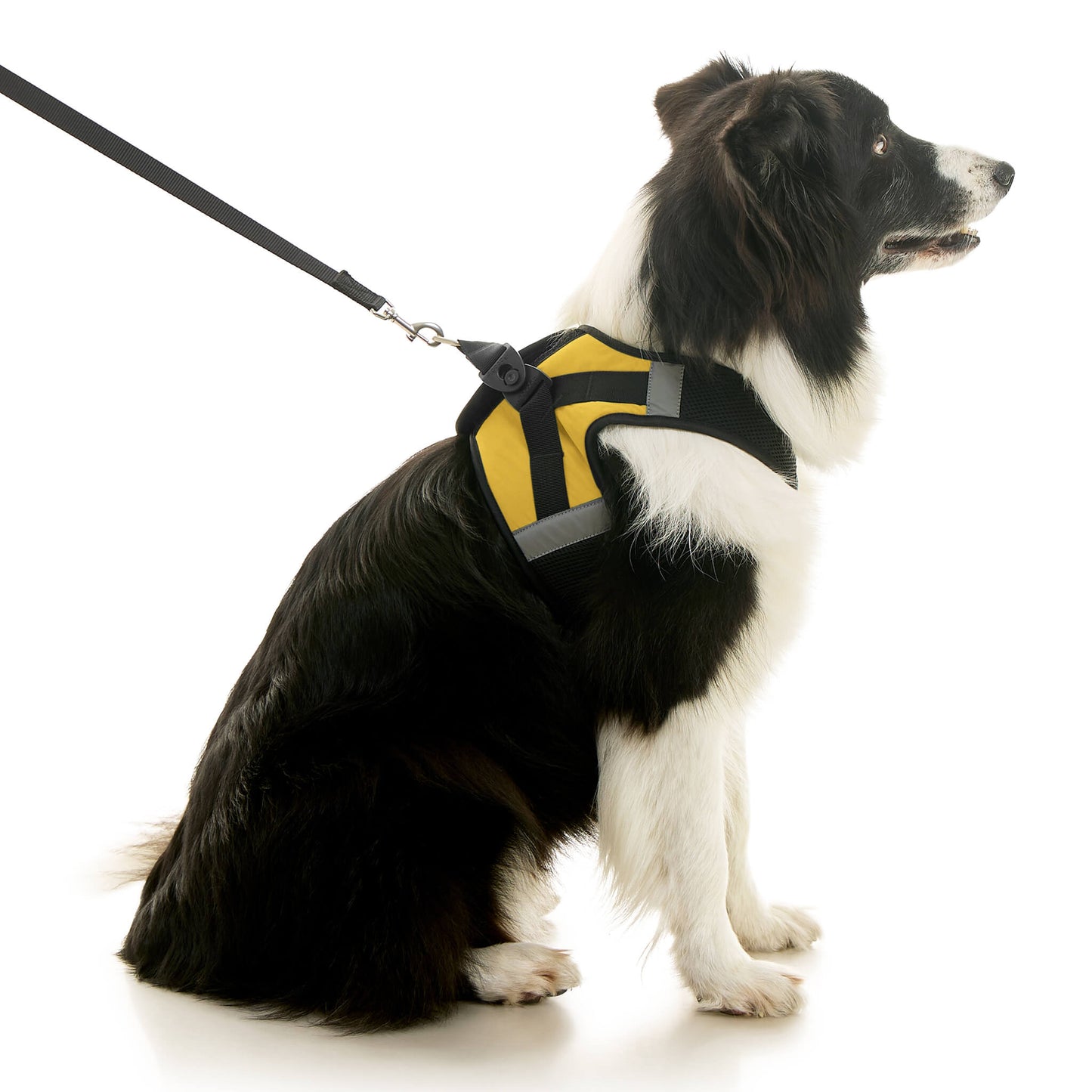 Soft Mesh X Step In Harness