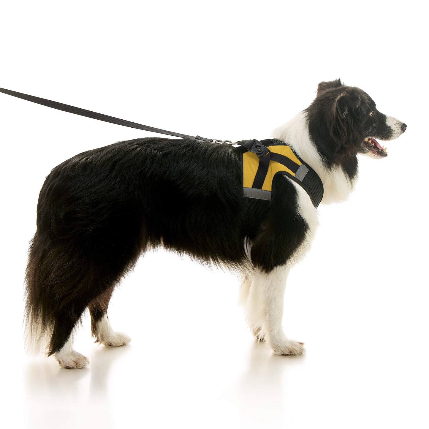 Soft Mesh X Step In Harness