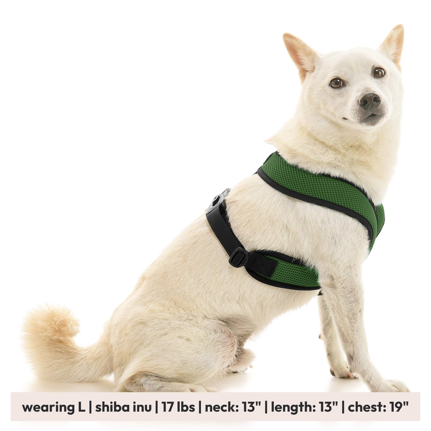 Comfort X Dual Snap Mesh Harness