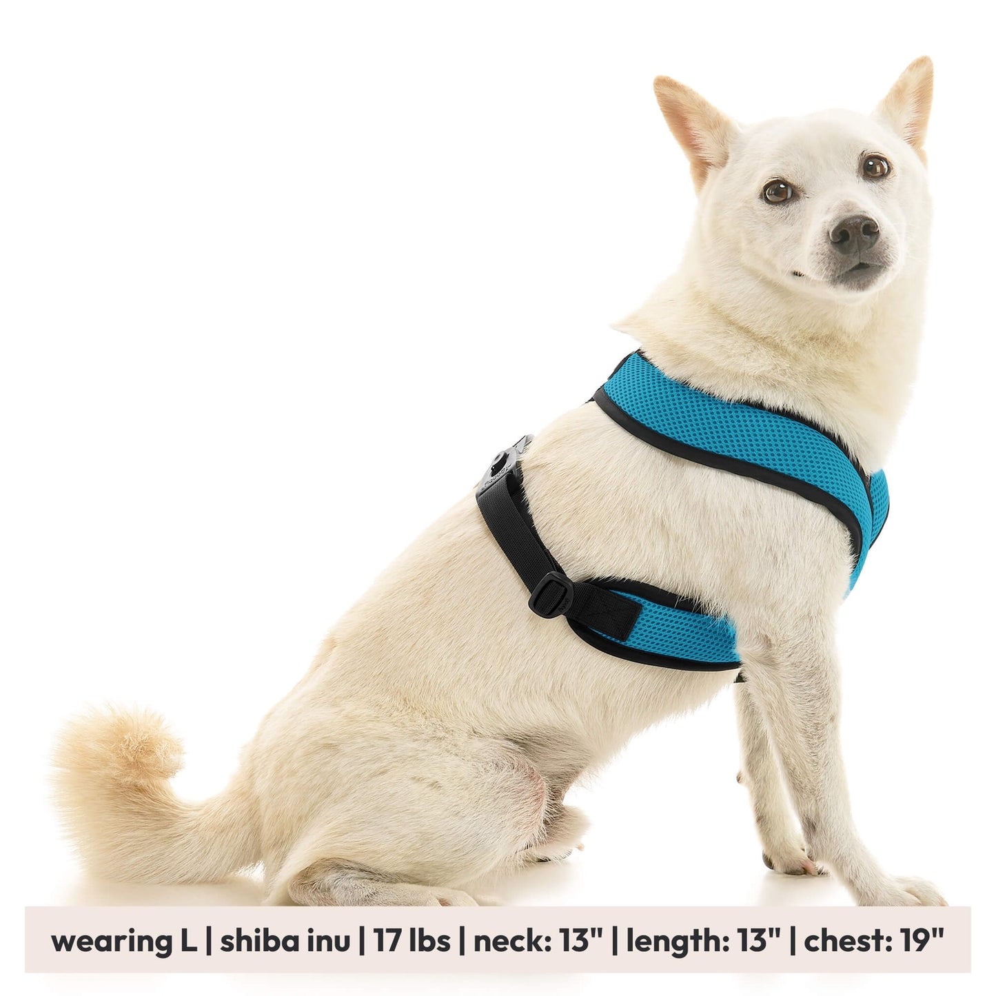 Comfort X Dual Snap Mesh Harness