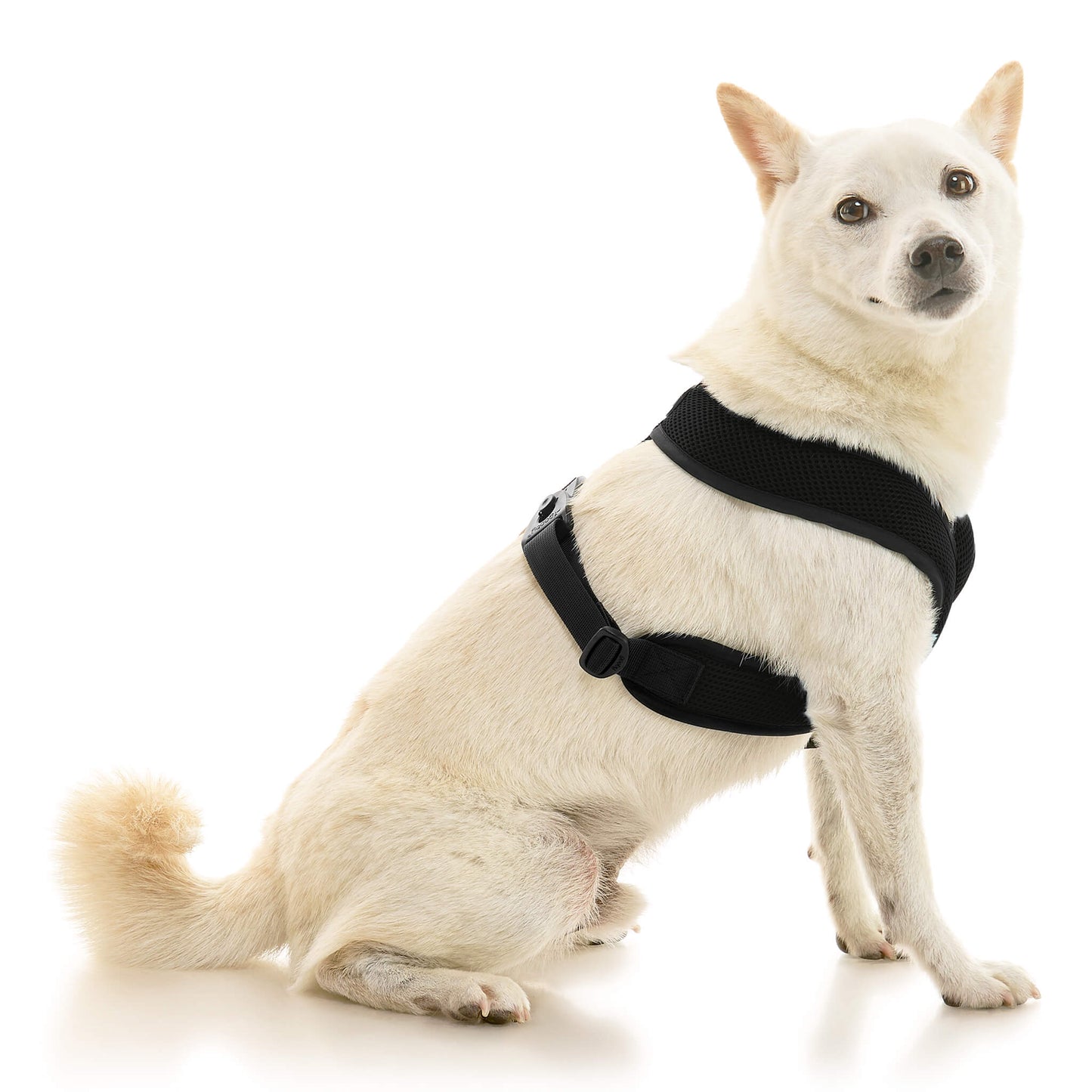 Comfort X Dual Snap Mesh Harness