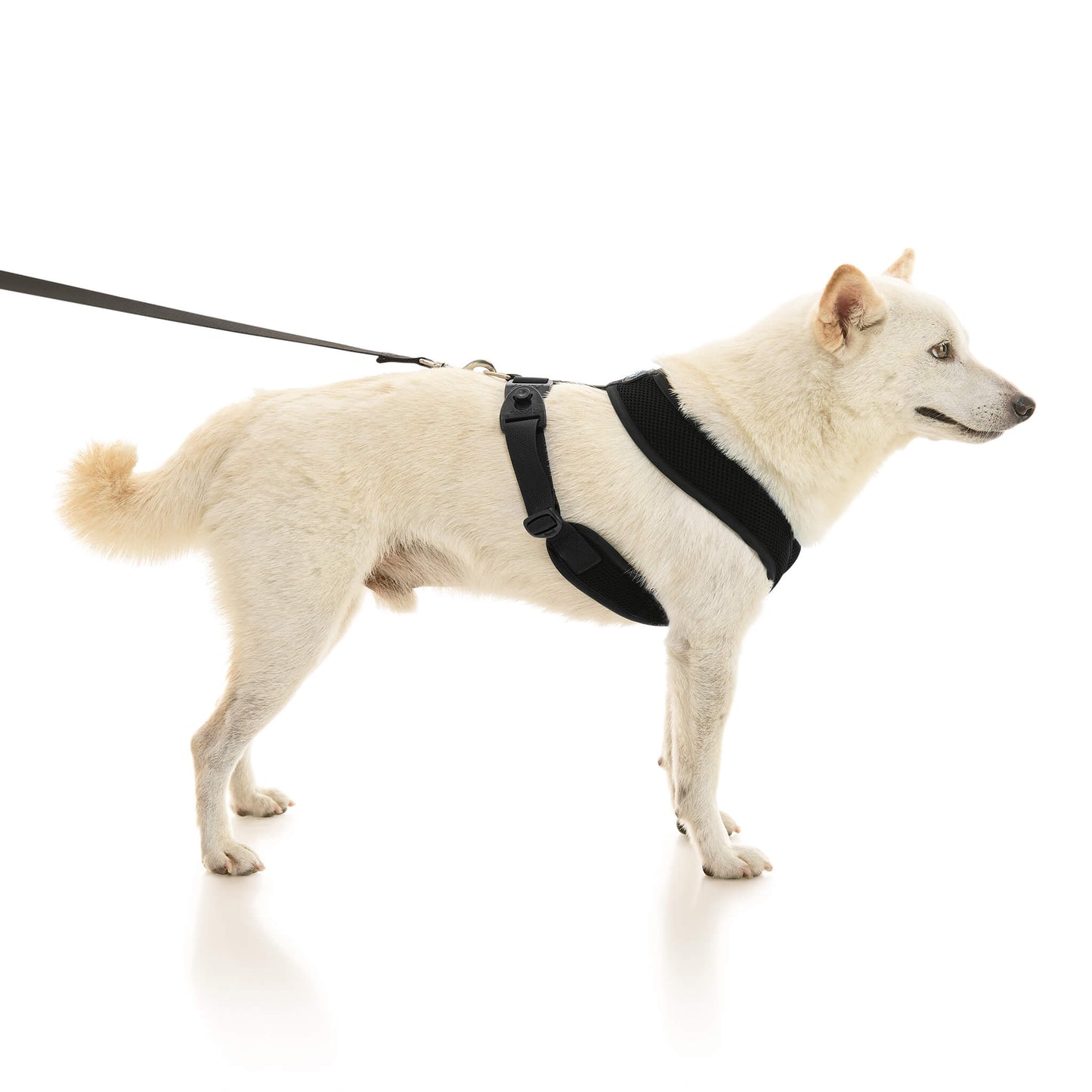 Comfort X Dual Snap Mesh Harness