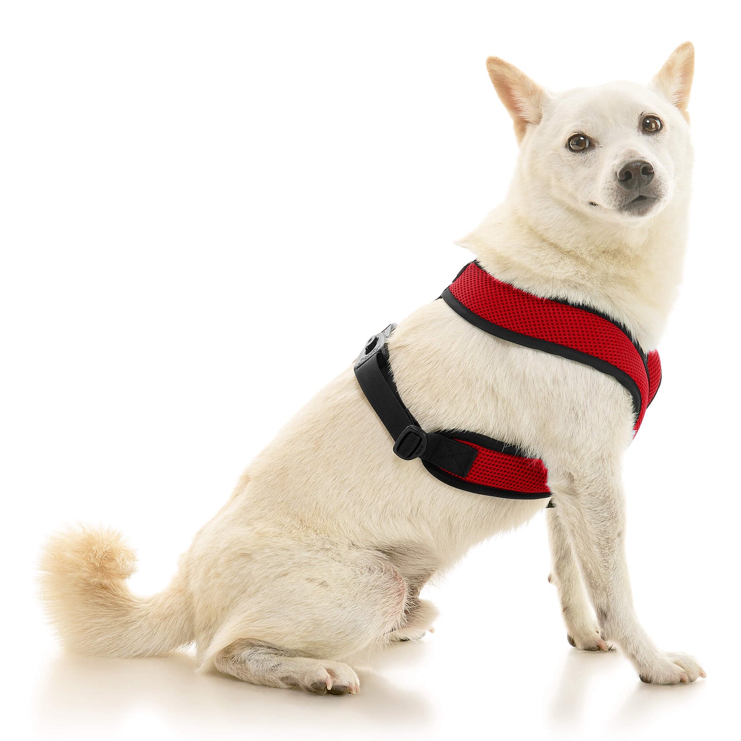 Comfort X Dual Snap Mesh Harness