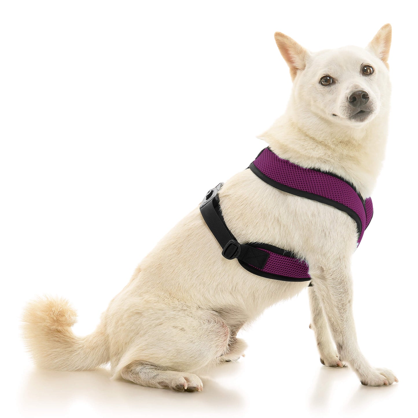 Comfort X Dual Snap Mesh Harness