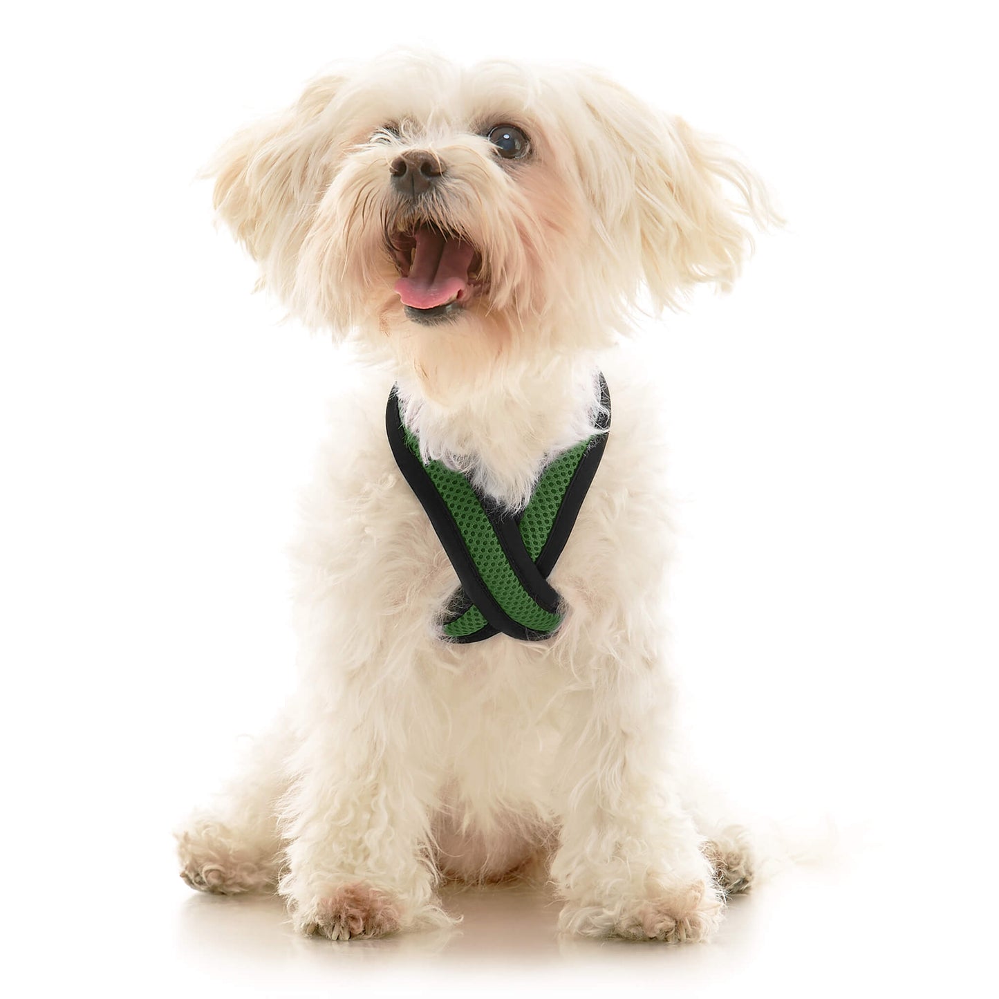 Comfort X Dual Snap Mesh Harness