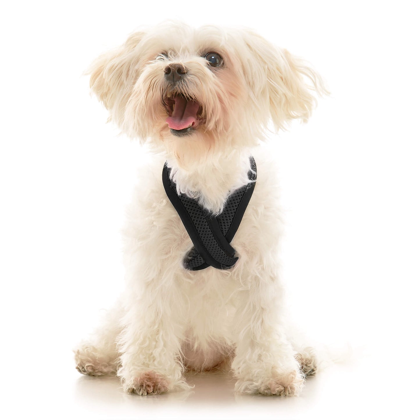 Comfort X Dual Snap Mesh Harness