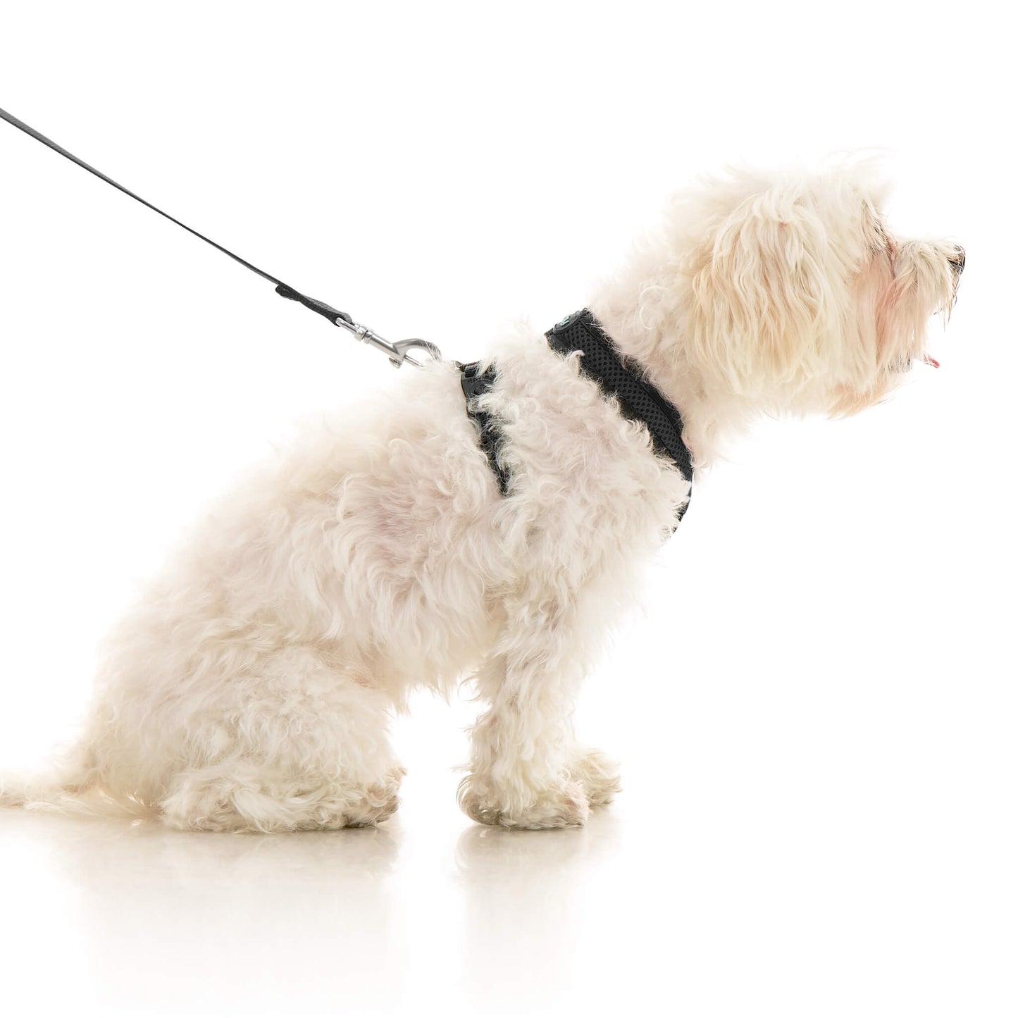 Comfort X Dual Snap Mesh Harness