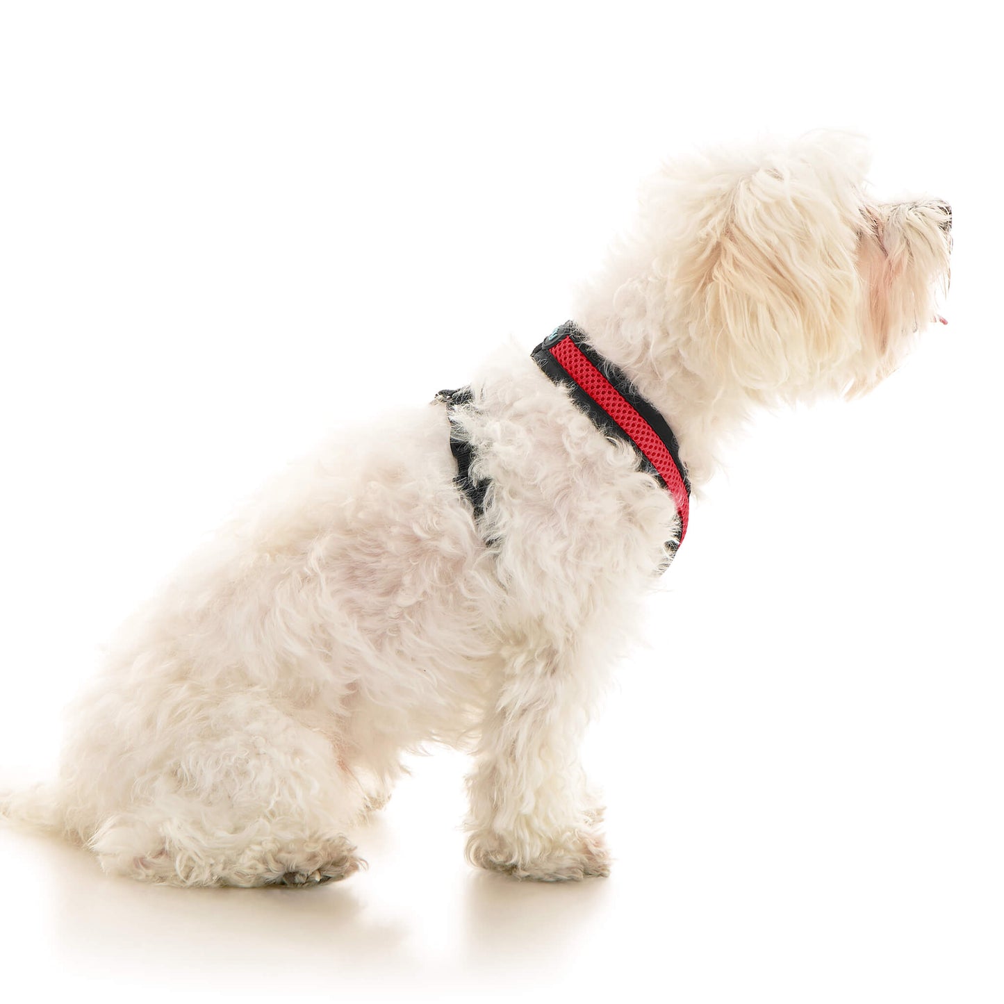 Comfort X Dual Snap Mesh Harness