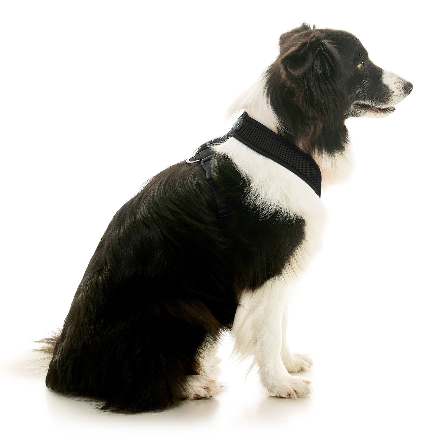 Comfort X Dual Snap Mesh Harness