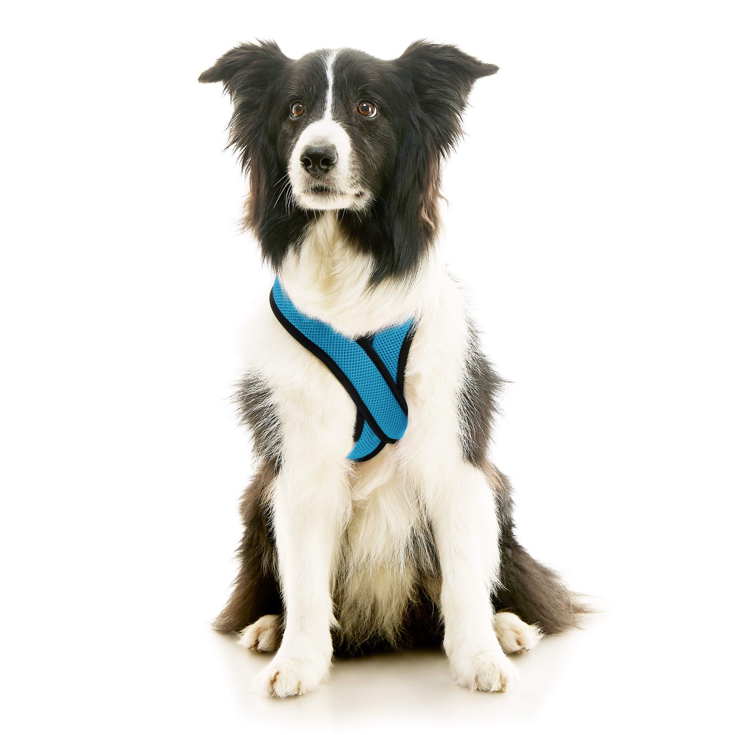 Comfort X Dual Snap Mesh Harness