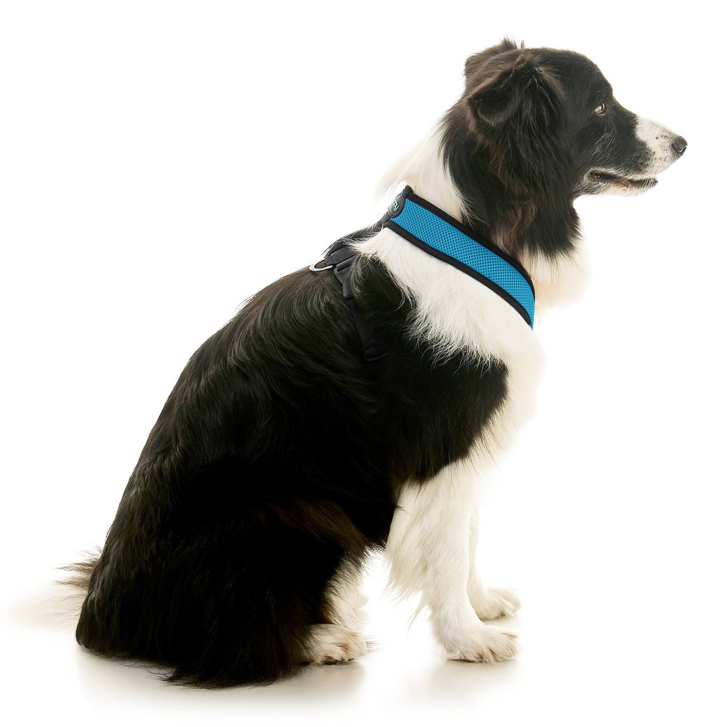 Comfort X Dual Snap Mesh Harness