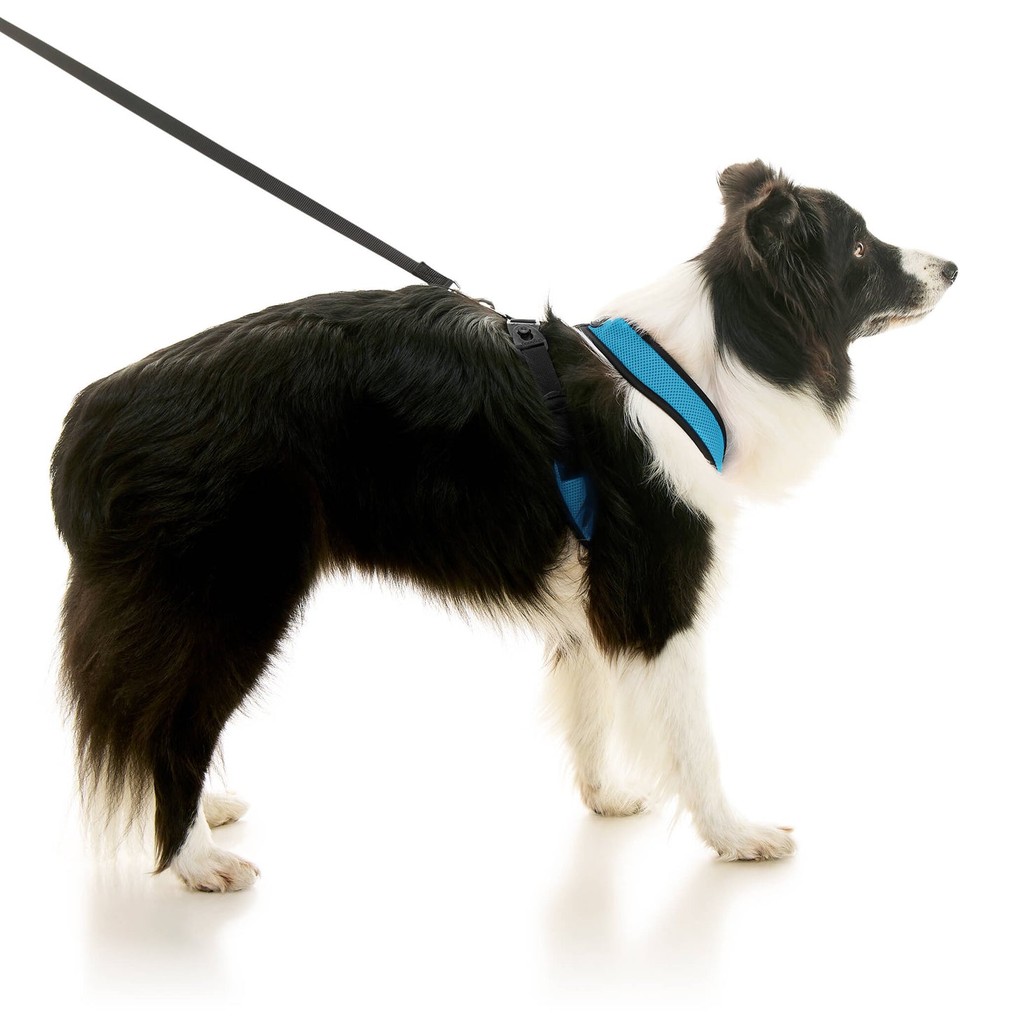 Comfort X Dual Snap Mesh Harness