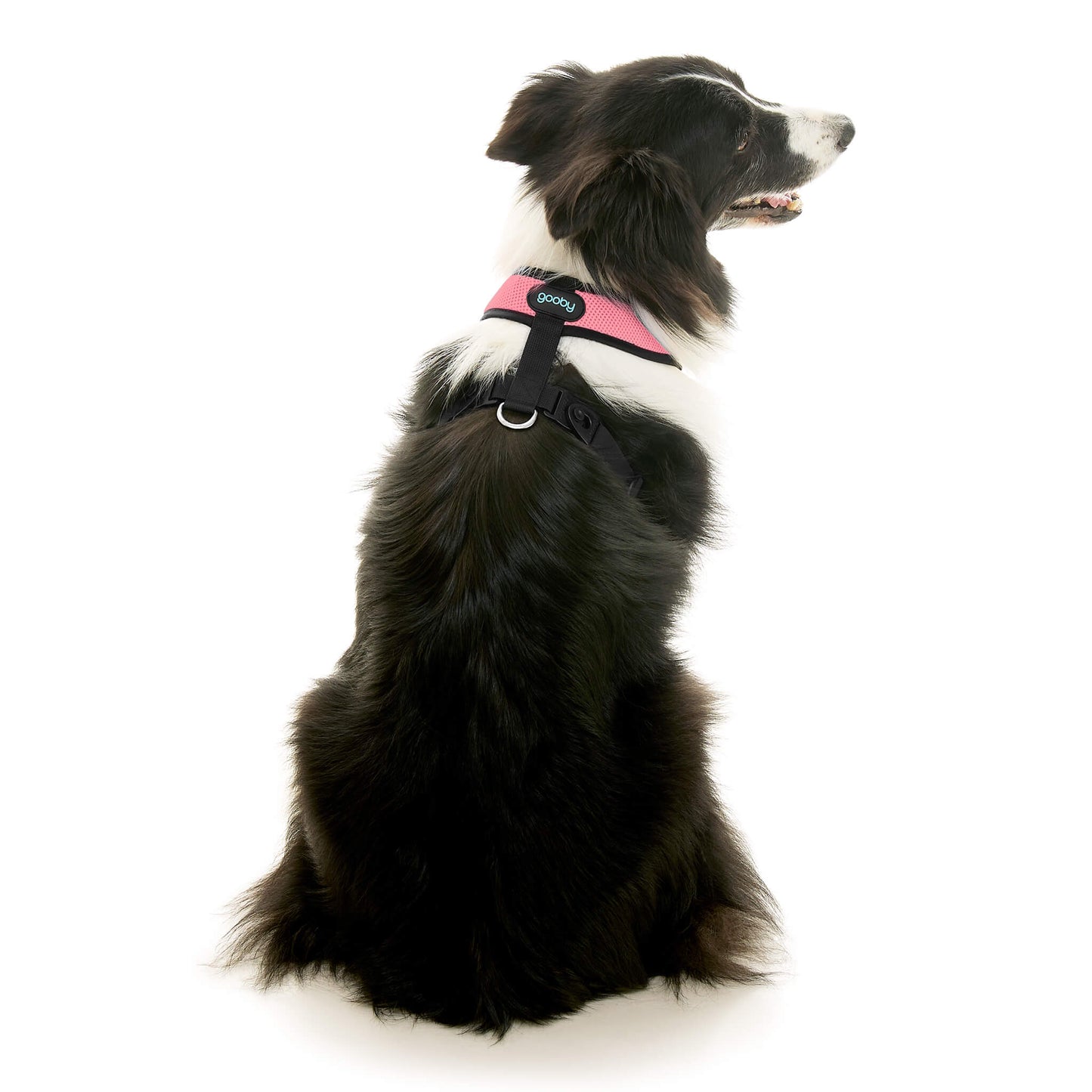 Comfort X Dual Snap Mesh Harness