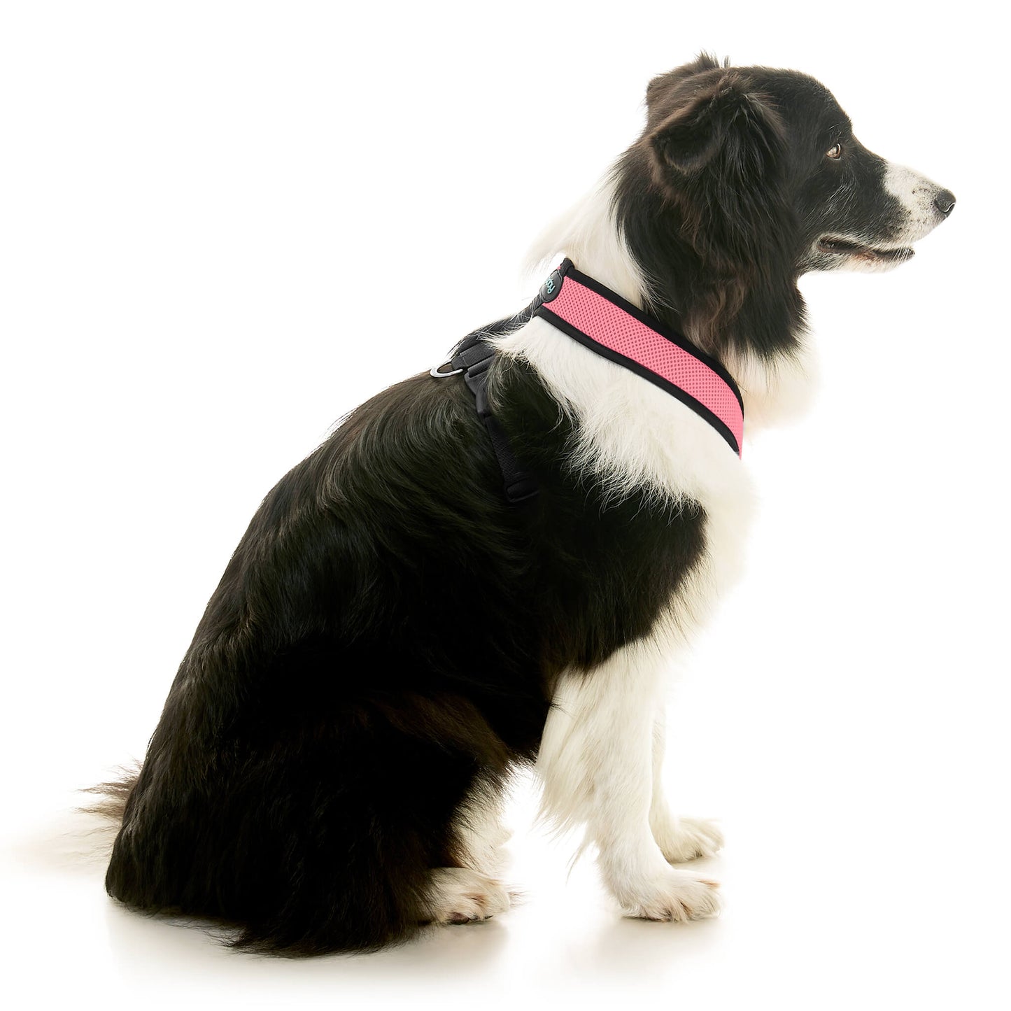 Comfort X Dual Snap Mesh Harness