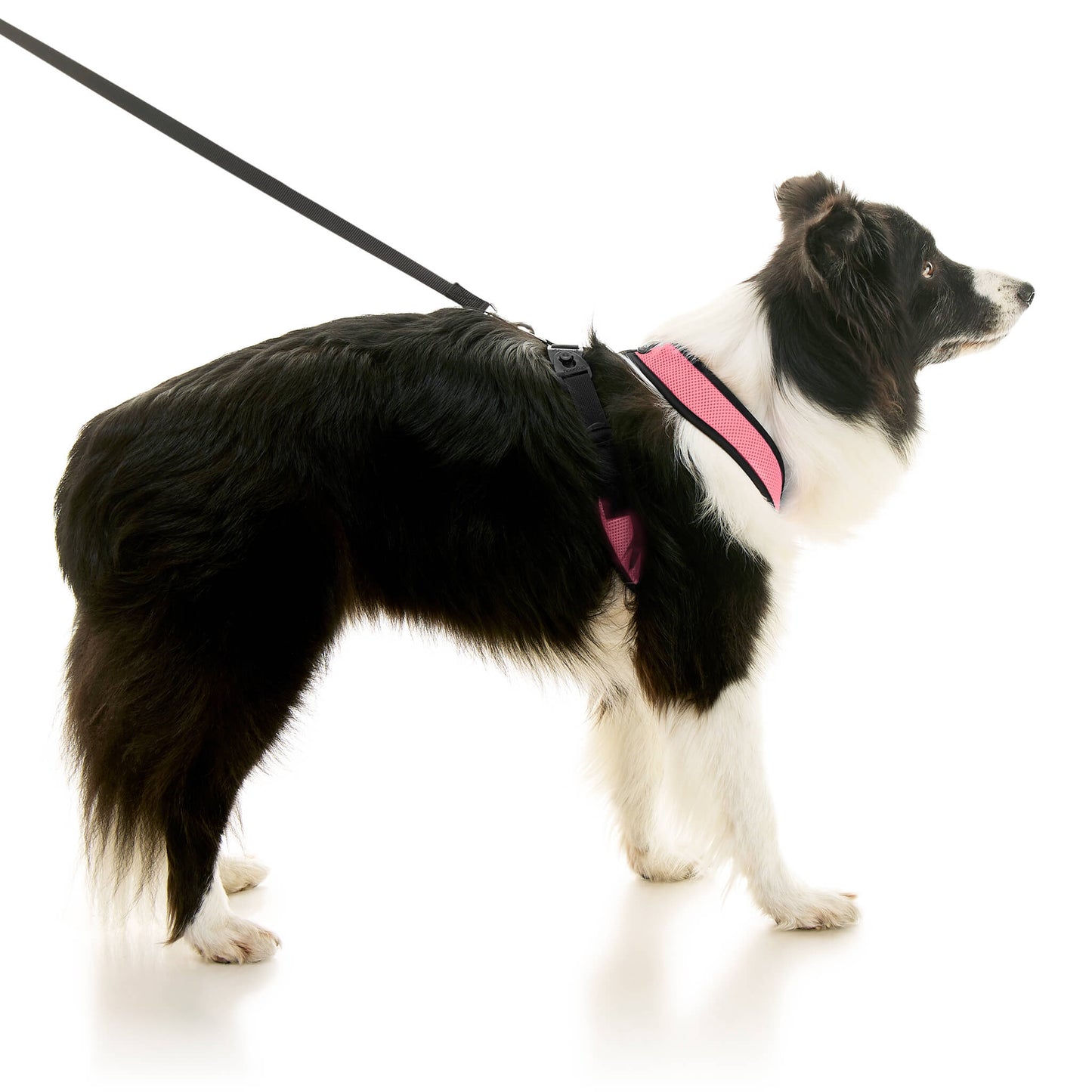 Comfort X Dual Snap Mesh Harness