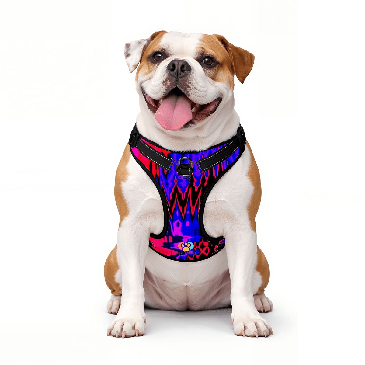 Rave Pet Harness and Leash Set – Adjustable & Comfy