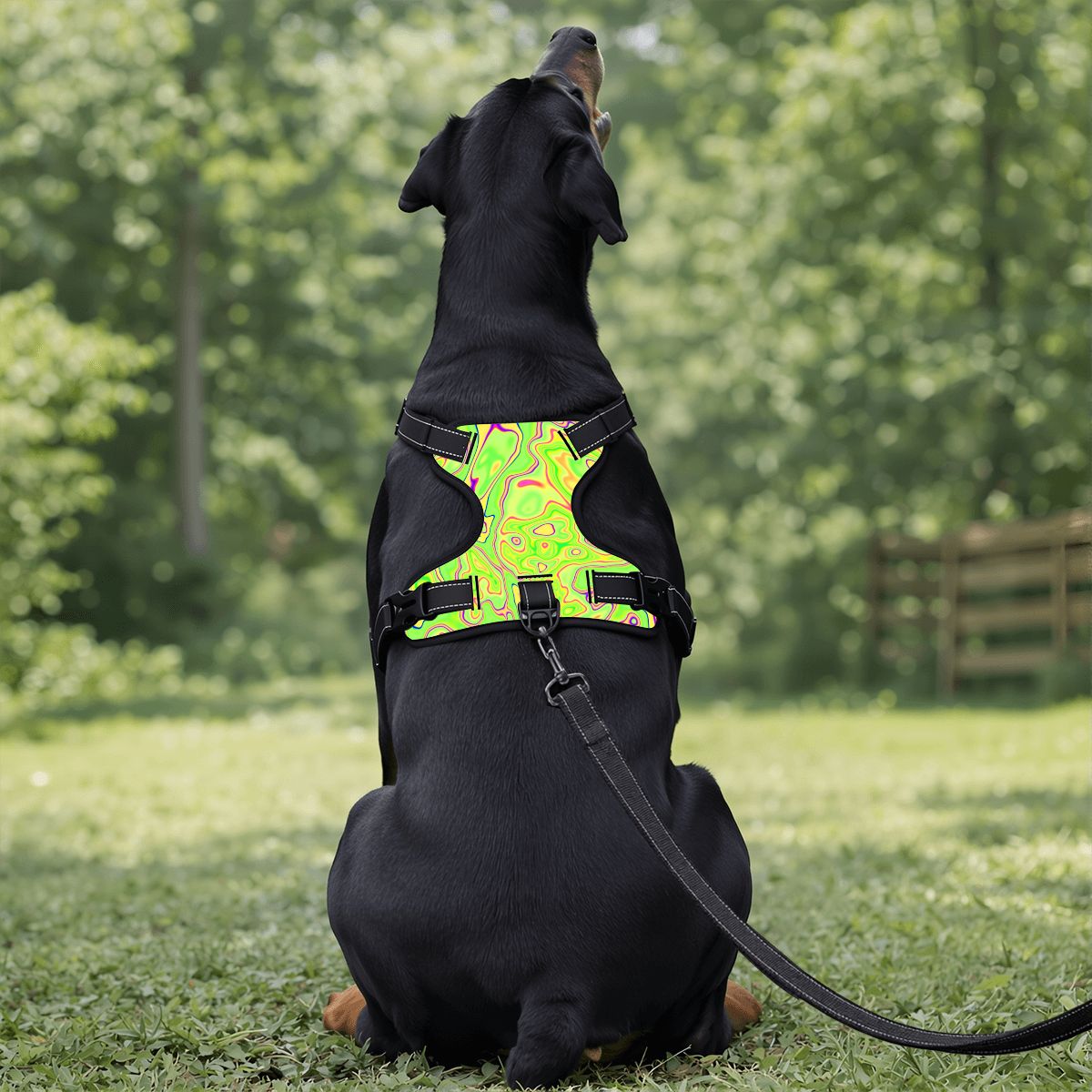 Trippy Lime Swirl Pet Harness and Leash Set – Reflective & Breathable
