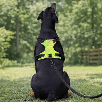Trippy Lime Swirl Pet Harness and Leash Set – Reflective & Breathable